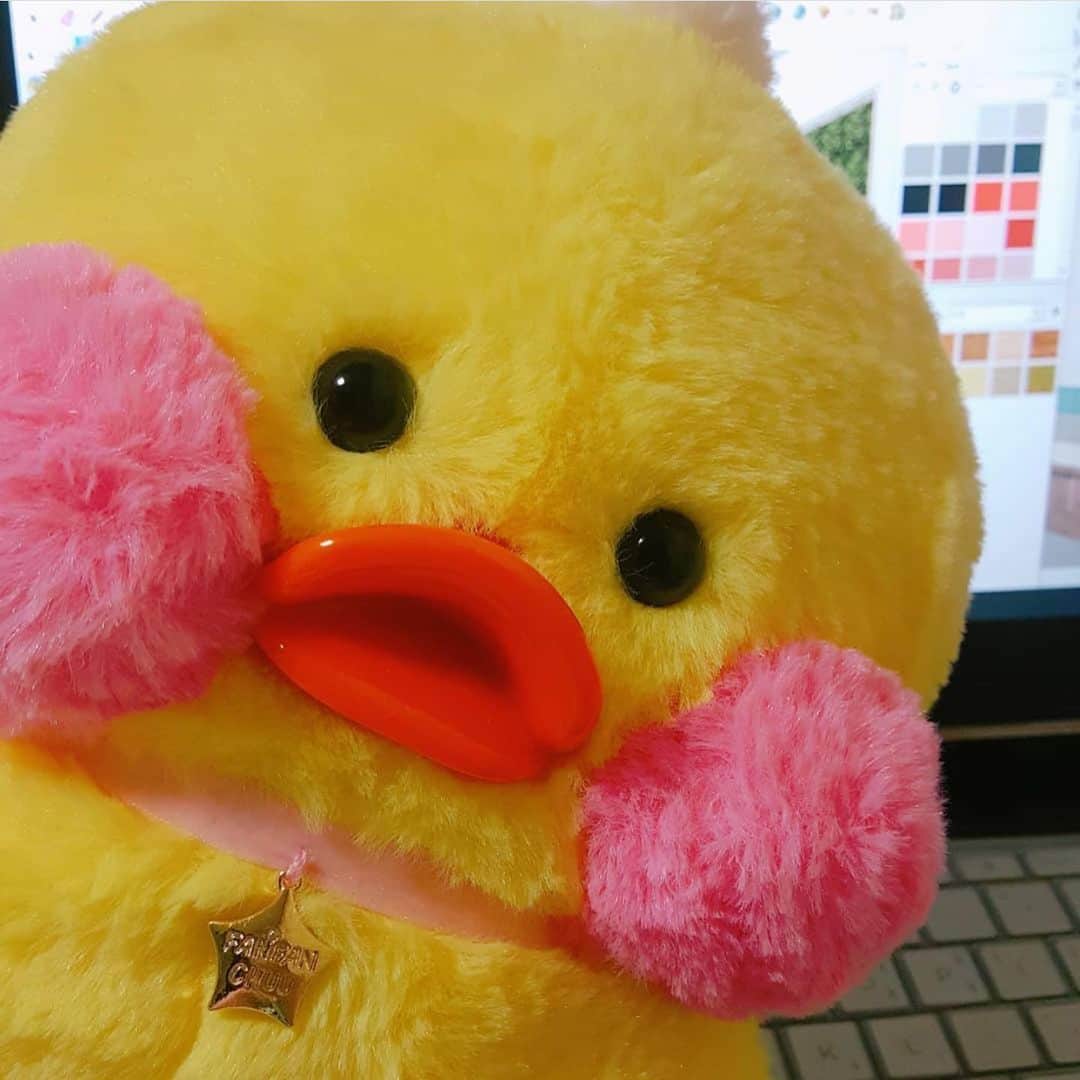 Chuuのインスタグラム：「12시 빵빵츄 21차 오픈❤️빵덕이들 분양해 가세요 :)」