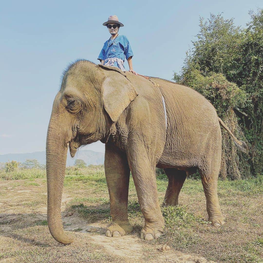 光本勇介のインスタグラム：「ジャングルを象に乗って周った🐘 最後びしょびしょ・・🌨」