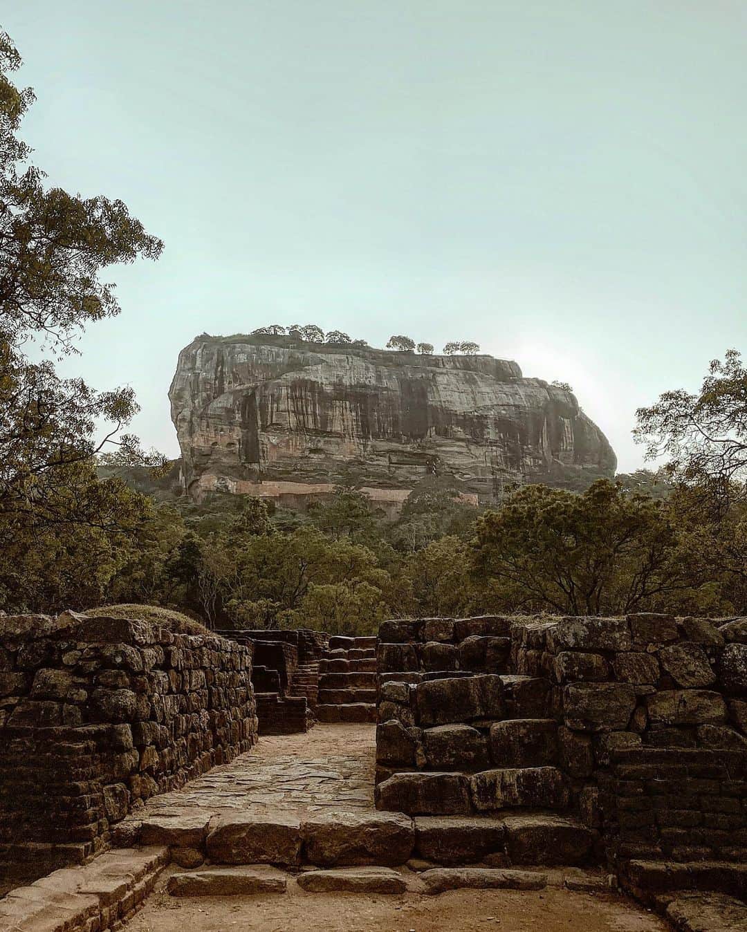 三浦大地さんのインスタグラム写真 - (三浦大地Instagram)「空中宮殿 Sigiriya Rock  広大なジャングルの中に突如ある巨大な岩。  その上には宮殿跡やフレスコ画。  素晴らしい景色のこの宮殿は朽ち果て、今では観光地。  いつも古代遺跡や歴史を見て思う事。  一体何故、現代で発見されるまで存続しなかったのか？  何故、受け継がれず一度消えたのか？  過去から今の間の人間達は何処にいたのか？  僕なりの見解がある。  昔発達した文明は神と言われるものが身近だった。  ただ、そこからどこかで人に歪みがでて、権力やエゴが生まれ、争いが始まり文明が終わる。  今、また観光地などとして遺跡が現れはじめ沢山の人間の目に入るようになったのは、その歴史を繰り返さないように滅びた文明を見て学びなさい、と言われている気がしている。  きっと今その時期なんだと思う。  自然は一度歴史を包み隠していた。  エゴや権力や争いをリセットするために。  自然はいつだって全てわかっている。  そんな気がしてる。  #sigiriyarock #srilanka #大地球散歩」2月12日 11時28分 - daichi_1127