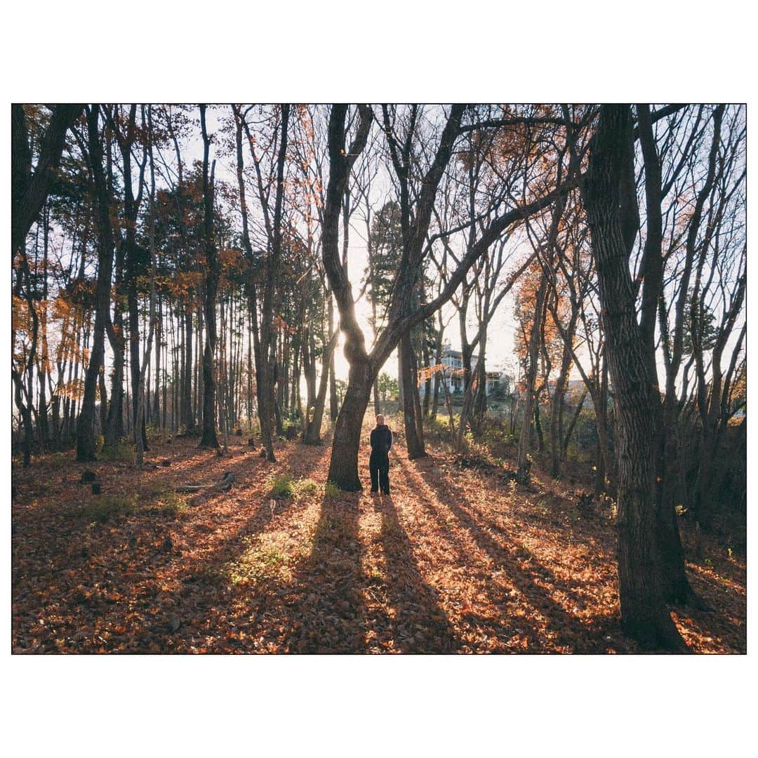daruma64のインスタグラム：「🍂 . #庭 .」