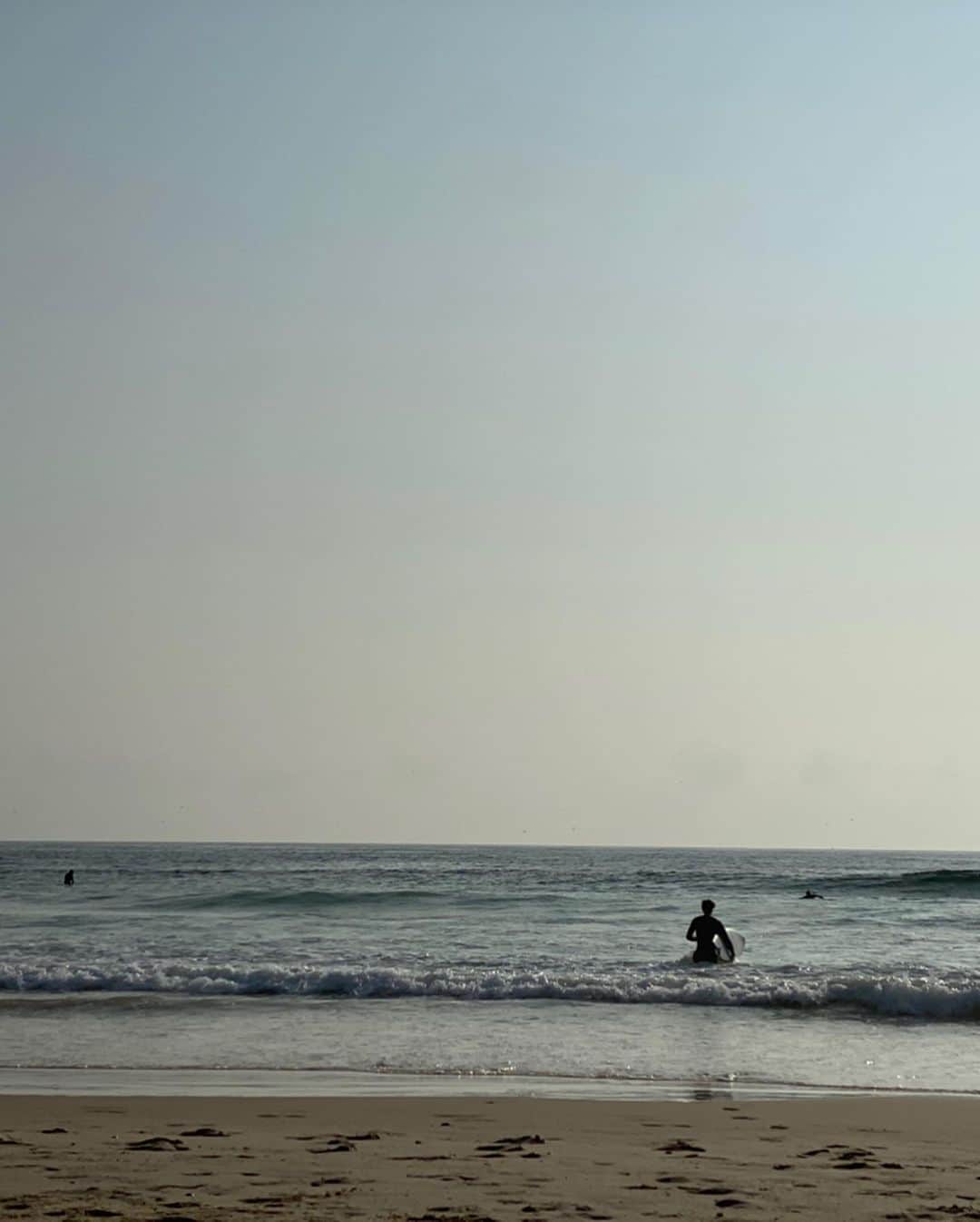 渡辺由布子さんのインスタグラム写真 - (渡辺由布子Instagram)「🏄‍♂️🐕 ・ Follow you! ・ ・ ・  #お目当ての #サーフボード #念願の #サーフィン　 #波待ち #日焼けギャル　 #陸サーファー　 #待ち人来ず　 #目の前を通過　 #😨 #surfing #surfer#surfergirl #beach #beachlife #palmtrees #suntan #dogstagram #AUS ・ ・ ・ 📍#TallowBeach #ByronBay #NSW #Australia #🇦🇺」2月12日 14時00分 - watanabe_yuko