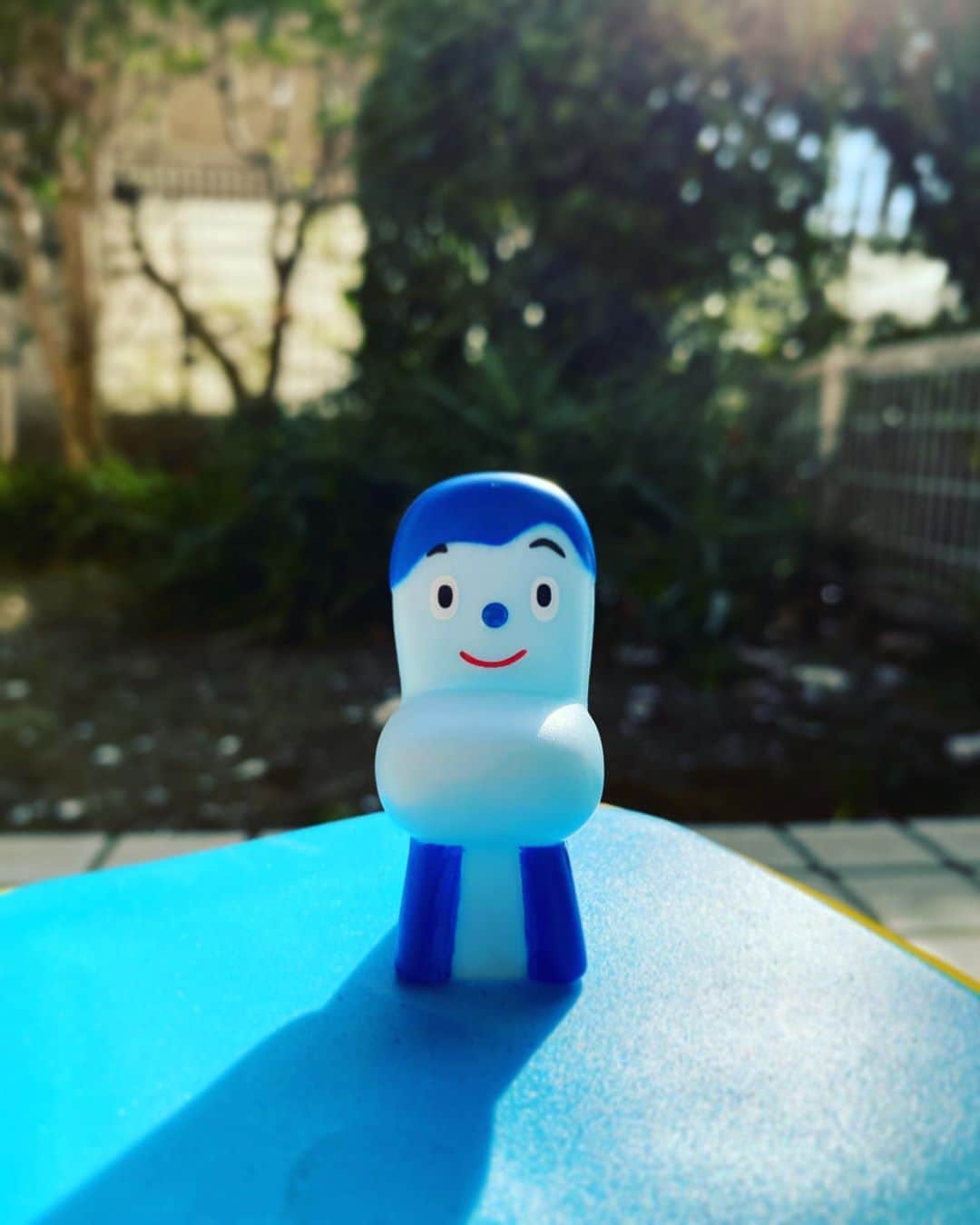 のインスタグラム：「#コッシー」