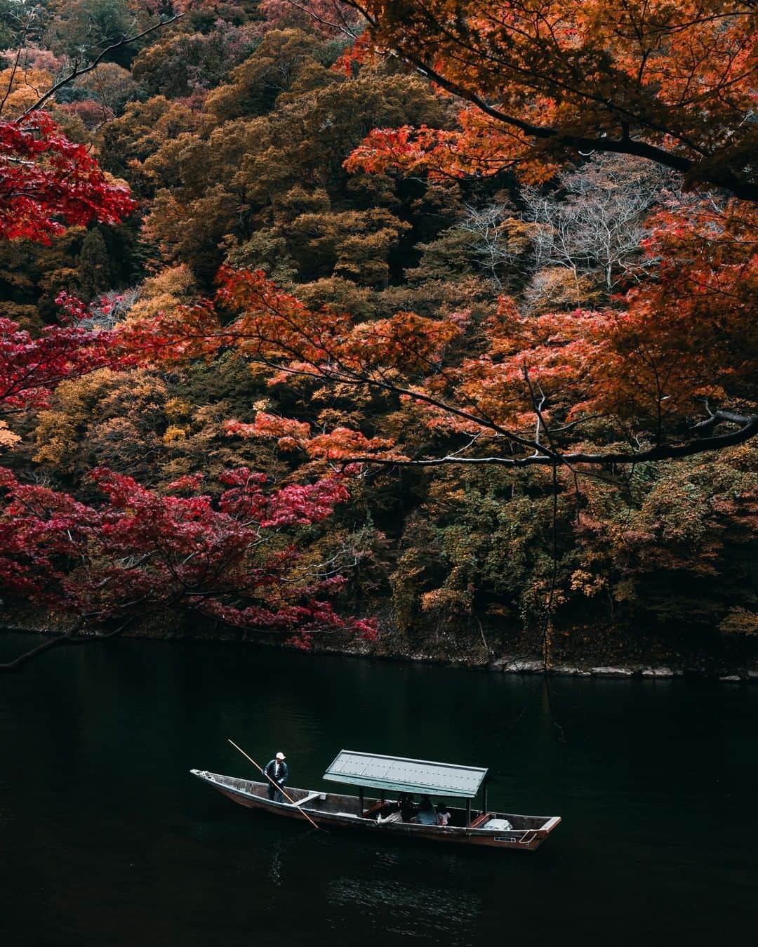 Canon Asiaのインスタグラム：「What many don't realise behind every stunning image is the photographers' dedication and patience to time for the right moment. What was your longest wait before capturing the perfect shot? ⁣. ⁣📷 Image by @ry.0109 shot using the Canon EOS 5D Mark III | EF24-70mm f/4L IS USM | f/9 | ISO 250 | 1/40s | 28mm . ⁣Want your photos to be featured too? Tag them with #canonasia or submit them on My Canon Story, link in bio! ⁣. ⁣#canonasia #photography #Japan #arashiyama #Kyoto #colours #eos5dmarkIII #travel #nature #dedication #teamcanon」