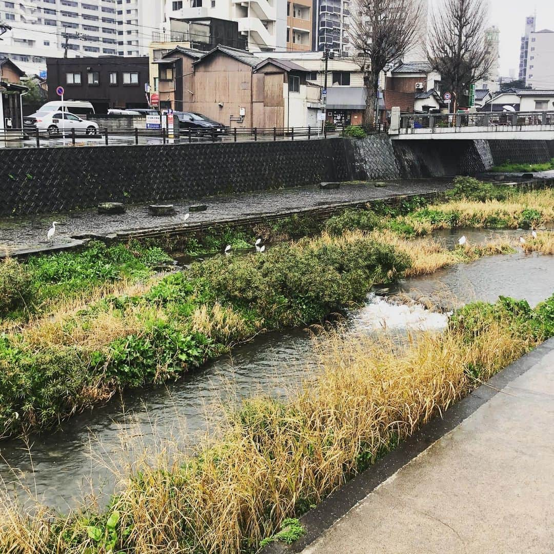 浅香圭（コラゾン）のインスタグラム