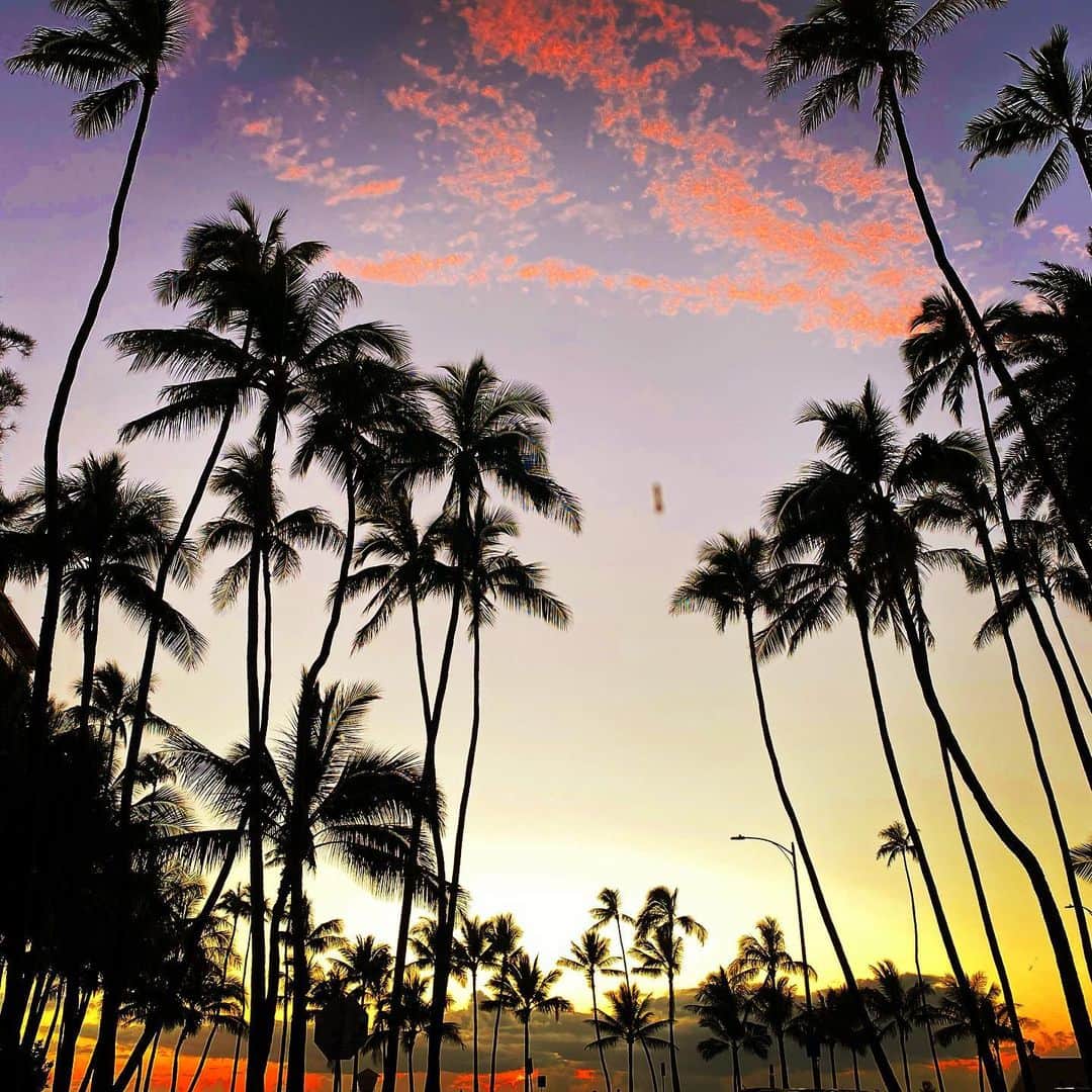 マキ・コニクソンさんのインスタグラム写真 - (マキ・コニクソンInstagram)「18:30@Kaimana Beach 今日もお疲れ様！🙏🏻 帰りまぁす！🚗💨 #ハワイのおすそ分け🤙🏼 #今日はここまで粘ったよ！📸」2月12日 16時47分 - makikonikson