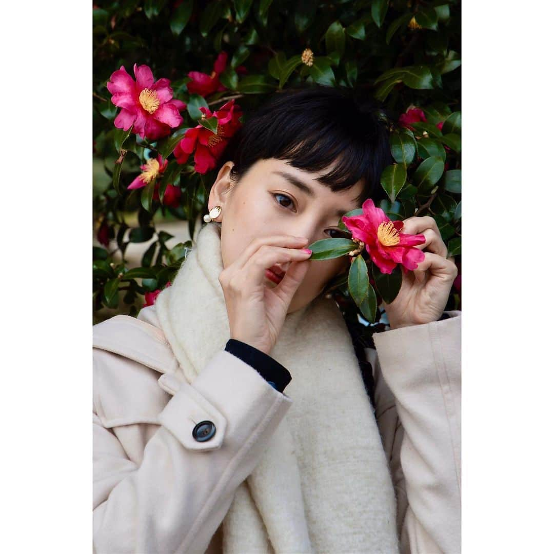 永池南津子さんのインスタグラム写真 - (永池南津子Instagram)「山茶花。 ひたむき。 #flower #山茶花 #sasanqua #花言葉 #flowerwords #earnest #portrait #photography #永池南津子」2月12日 16時48分 - natsuko_nagaike