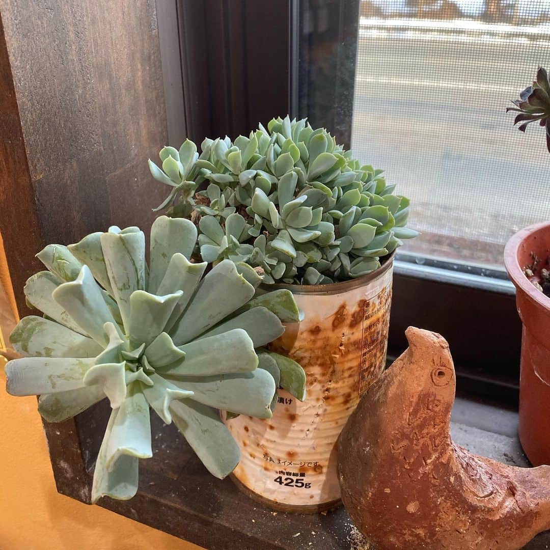 魔女菅原のグルメインスタ