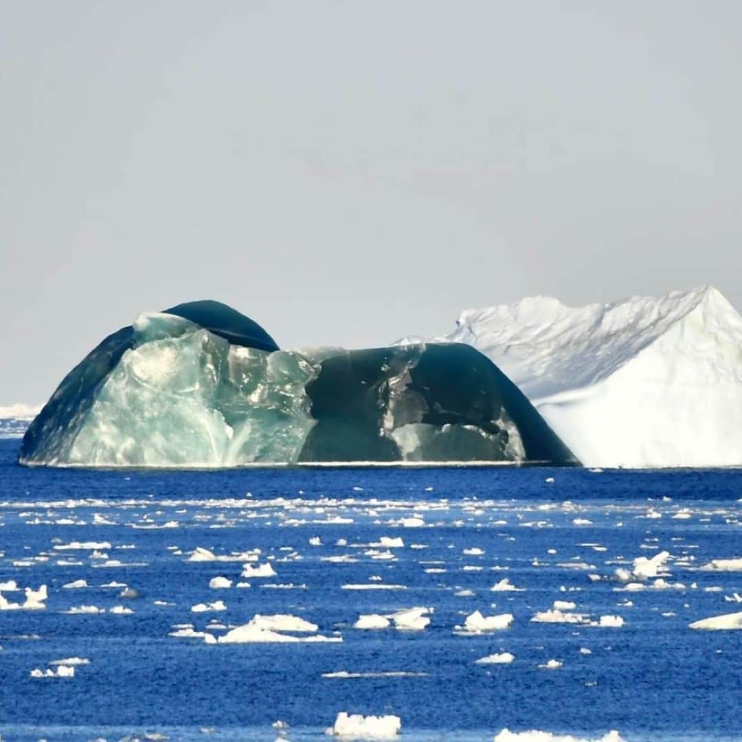 海上自衛隊さんのインスタグラム写真 - (海上自衛隊Instagram)「～エメラルド氷山～ 第61次南極地域観測協力を実施している砕氷艦「しらせ」から見えた珍しい色の氷山です。一般的に氷山の色は、白か青とされている中、エメラルドグリーンの氷山は南極でしか見ることが出来ないそうです。  #海上自衛隊 #JMSDF #氷山 #iceberg #marineice #しらせ #南極 #君に見せたい景色 #海自はいいぞ」2月12日 17時08分 - jmsdf_pr