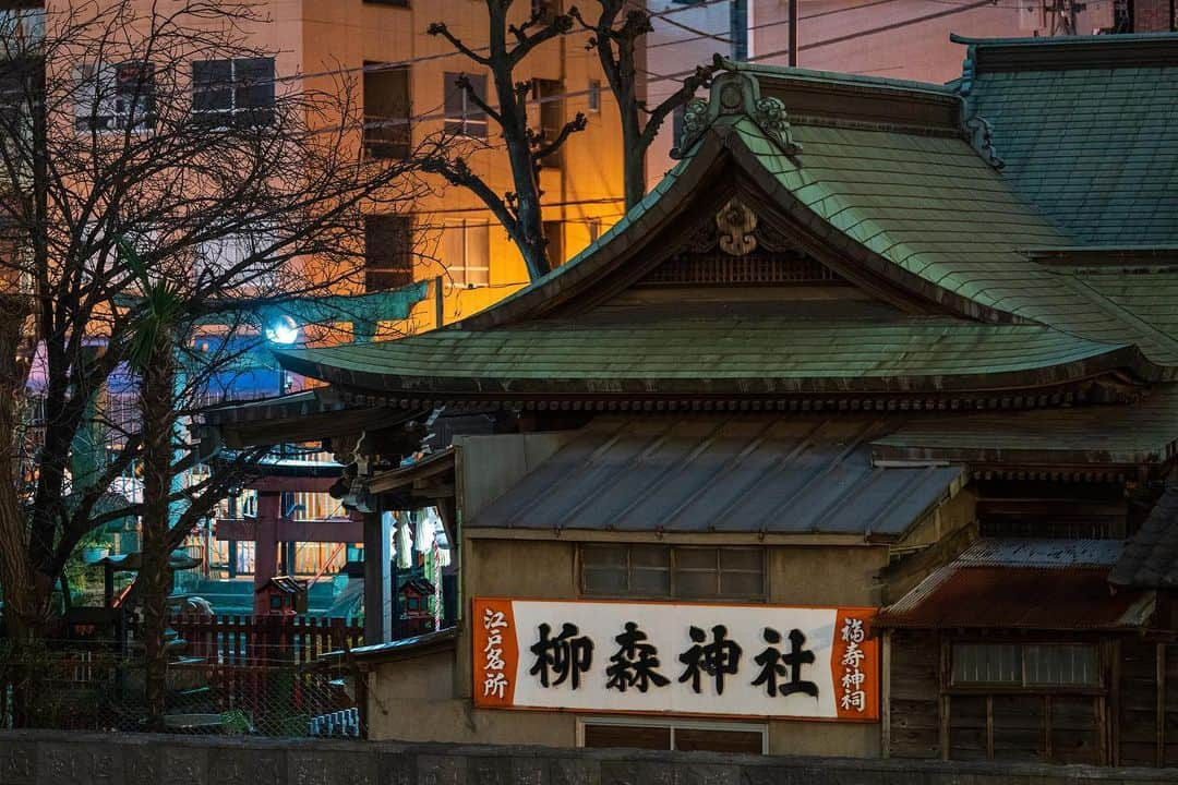 サイモンとマルティナさんのインスタグラム写真 - (サイモンとマルティナInstagram)「Wandering around Tokyo at night and grabbing all the lights and colors I can find.」2月12日 17時15分 - eatyourkimchi