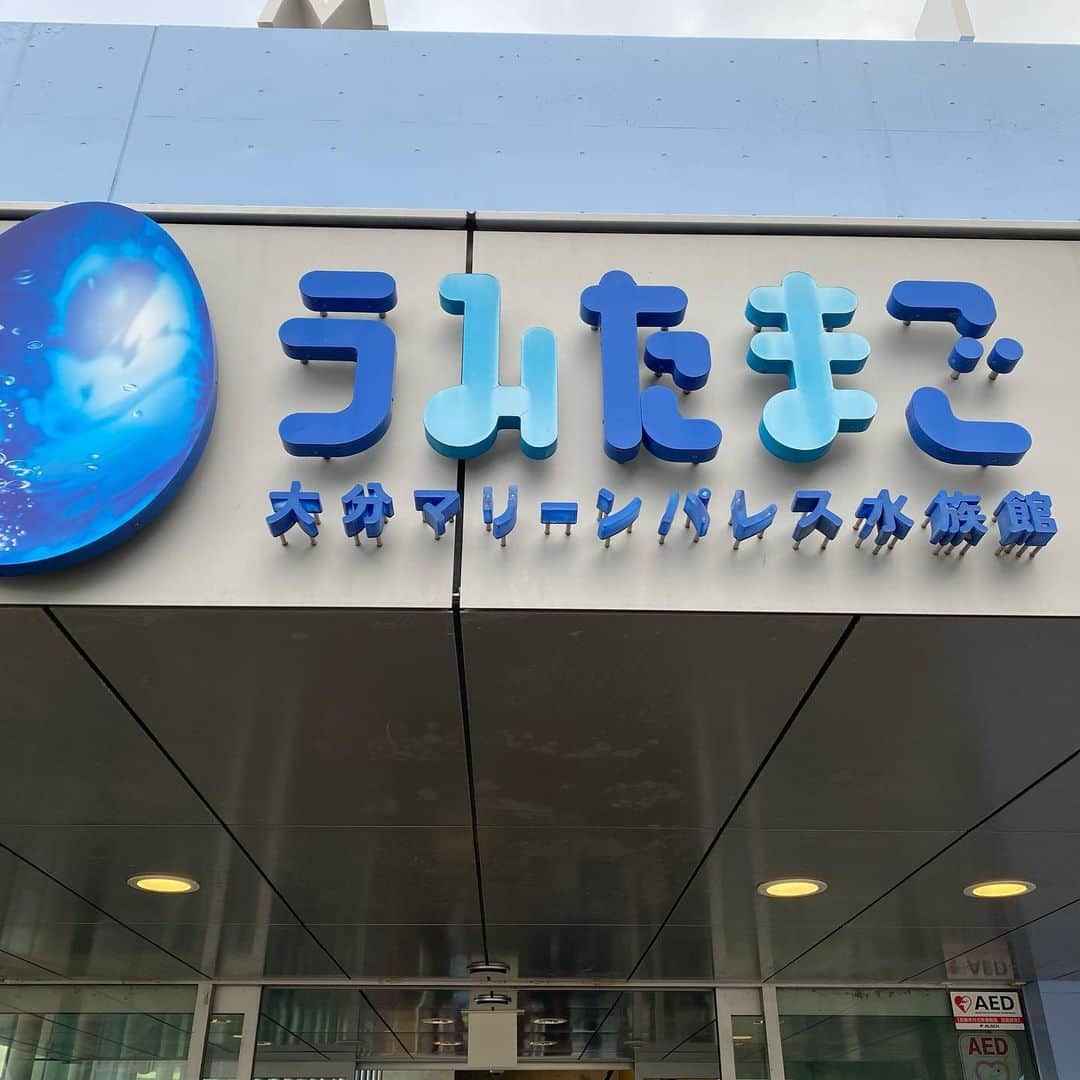 石津大介のインスタグラム：「先日、キャンプから帰ってきたパパと水族館うみたまごへ🐠🐟🐬🐳💕 中で遊んで、すごいすごいって°･🐠あっちこっち覗き込んで楽しそうでした😁❤️ 練習にも少し見に行ったり、開幕に向けて愛絆の気持ちも高まってます(笑)  最近のお弁当も…まだキャラ弁頑張ってます。(笑)ご飯嫌いな愛絆が食べてきてくれる事が嬉しい😭❤️ やる気のあるなしで、完成度に差が(笑)  #4歳児#うみたまご #楽しかった#アビスパ福岡#石津大介#愛娘#親バカ#親バカ部#キャラ弁簡単」