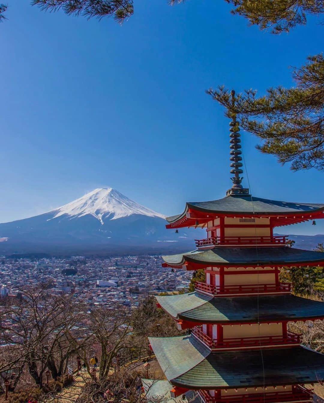 aumoさんのインスタグラム写真 - (aumoInstagram)「【#富士山 ×#日本の絶景 】 .  山梨県の「#新倉山浅間公園 」にて撮影されたお写真📸 . "日本"を体感できる絶景スポット🗻一度実際に訪れてみたいですね✨ . Credit：@acochan8823 さん 素敵なお写真をありがとうございます！ . あなたが撮影した素敵な写真に 「#aumo」を付けて教えてください♡ あなたの投稿が明日紹介されるかも♪ . aumoアプリは毎日配信！おでかけや最新グルメなどaumo読者が気になる情報が満載♡ ダウンロードはプロフィールのURLから✔︎ (iPhone&Android版) . . #山梨#山梨県#山梨観光#晴天#日本の絶景#冬#インスタ映え #雪景色 #女子旅#絶景#旅#フォトジェニック  #team_jp_ #igersjp #japan_daytime_view #wu_japan  #bestjapanpics #japan_of_insta #art_of_japan_ #ptk_japan #photo_jpn #lovers_nippon #tokyocameraclub #あなたとみたい景色#フォトジェニック」2月12日 17時42分 - aumo.jp