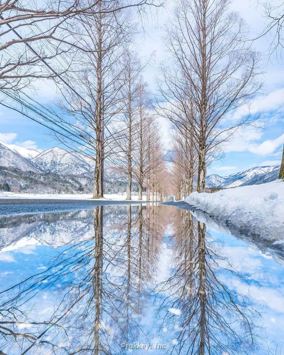 楽天トラベル さんのインスタグラム写真 - (楽天トラベル Instagram)「#滋賀  #メタセコイア並木 マキノ高原にあるメタセコイア並木。 約2.4kmにわたりメタセコイアが約500本植えられています。 春、夏、秋、冬とそれぞれの美しさがあり、今は雪景色が綺麗です。 . Special Thanks💓 📸Photo by @yukkey.inc . ************************ 旅先で撮った写真に場所と一緒に #rakutentravel を付けてシェアしてね♪ 厳選してこのアカウントで紹介します ************************ . #楽天トラベル #旅 #旅行 #旅に出よう #旅行好きな人と繋がりたい #日本 #冬 #マキノ高原 #travel #trip #japan #instagramjapan #IG_JAPAN #japantrip #lovetraveling #lovers_nippon #winter #wintertrip」2月12日 18時00分 - rakutentravel