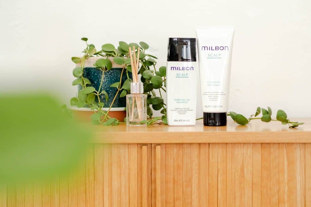 "milbon"（ミルボン）のインスタグラム：「Scalp care is important during any seasen so to maintain beautiful, healthy hair. Are you related to an itchy or greasy scalp even if you wash your hair every day? The “SCALP” series is made for those having sensitive scalp. It gently washes away excessive fatty acid, and various ingredients moisturize your scalp to make it stay healthy. ＝＝＝＝＝＝＝＝＝＝ Milbon official account. WE provide worldwide stylist-trusted hair products. On this account, we share how stylists around the world use Milbon products. Check out their amazing techniques! ＝＝＝＝＝＝＝＝＝＝ #milbon #globalmilbon #milbonproducts #hairdesign #haircut #haircare #hairstyle #hairarrange #haircolor #hairproduct #hairsalon #beautysalon #hairdesigner #hairstylist #hairartist #hairgoals #hairproductjunkie #hairtransformation #hairart #hairideas #beauty #shampoo #hairtreatment #beautifulhair #scalp #scalpcare」