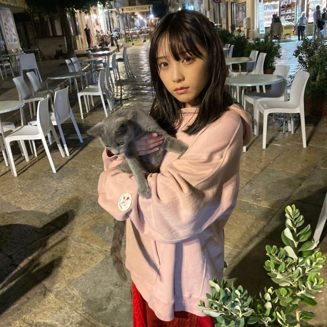 与田祐希さんのインスタグラム写真 - (与田祐希Instagram)「OFF SHOT🇮🇹﻿ #与田動物園﻿ ﻿ ファビニャーナ島のレストラン街で遭遇した猫ちゃん😻最初は警戒していましたが、自ら近づいてきて抱っこされていました❤︎ ﻿ ﻿ #与田祐希2nd写真集 #よだちゃんブック #与田祐希 #無口な時間」2月12日 20時00分 - yodayuuki_oimo