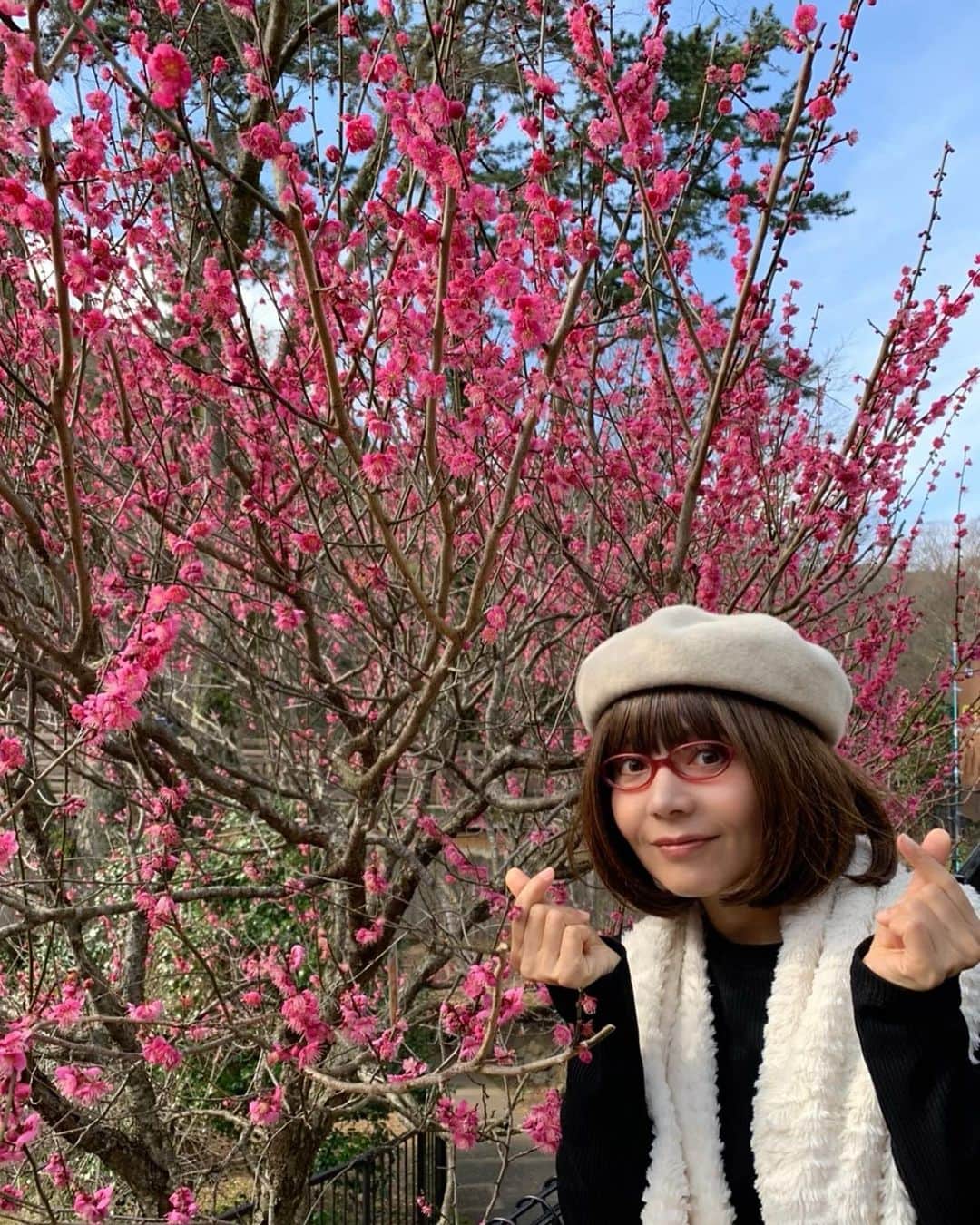 木部さんさんのインスタグラム写真 - (木部さんInstagram)「この時の熱海梅園はまだ3分咲きでした！﻿ ﻿ ﻿ ﻿ もうそろそろ満開かな？🤔﻿🌸 ﻿ ﻿ ﻿ 一番最後の写真はヨーヨーの大道芸人さんです！🪀✨﻿ ﻿ ﻿ ﻿ ﻿ ﻿ #梅の花 #いい香り #梅祭り #熱海梅園 #静岡県 #蝋梅の花 #綺麗な花 #いい景色 #plumblossom #plumblossomfestival #atamiplumgarden #shizuoka #wintersweet #beautifulflowers #japan🇯🇵 #梅の木 #godaian2020 #五代庵」2月12日 20時03分 - kibe_dayo