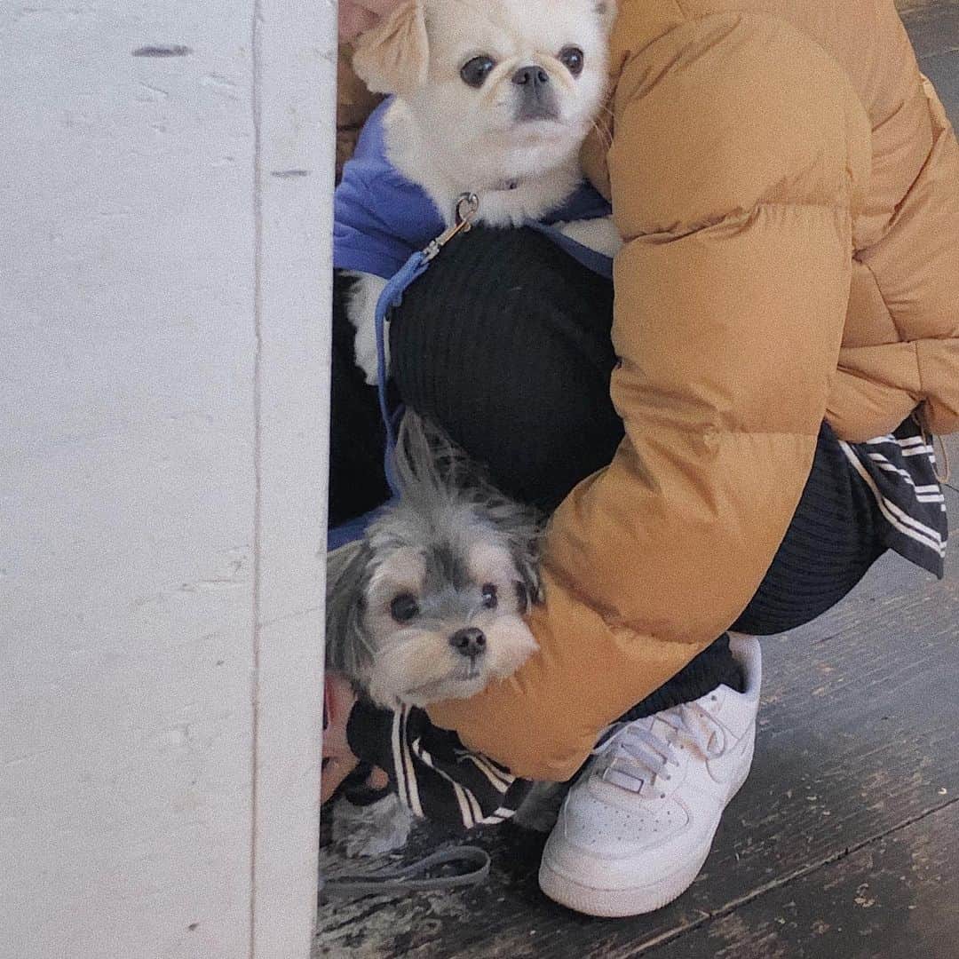 makoのグルメインスタ