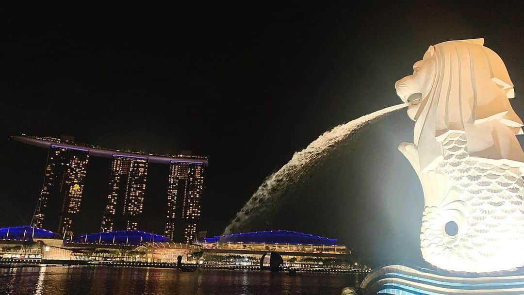 星河るいさんのインスタグラム写真 - (星河るいInstagram)「. 普段旅先で酒飲まないけどたまには🍹❤︎ シンガポールスリングうま❤︎ . ちなみにマーライオンは夜派🌙 . #シンガポール#singapore#マリーナベイサンズ#マーライオン#merlion#シンガポールスリング#うめえ#カクテル飲むとか#何億年ぶりレベル#普段は吉四六ババア#たまにはお洒落気取りババア」2月12日 20時23分 - ru0928