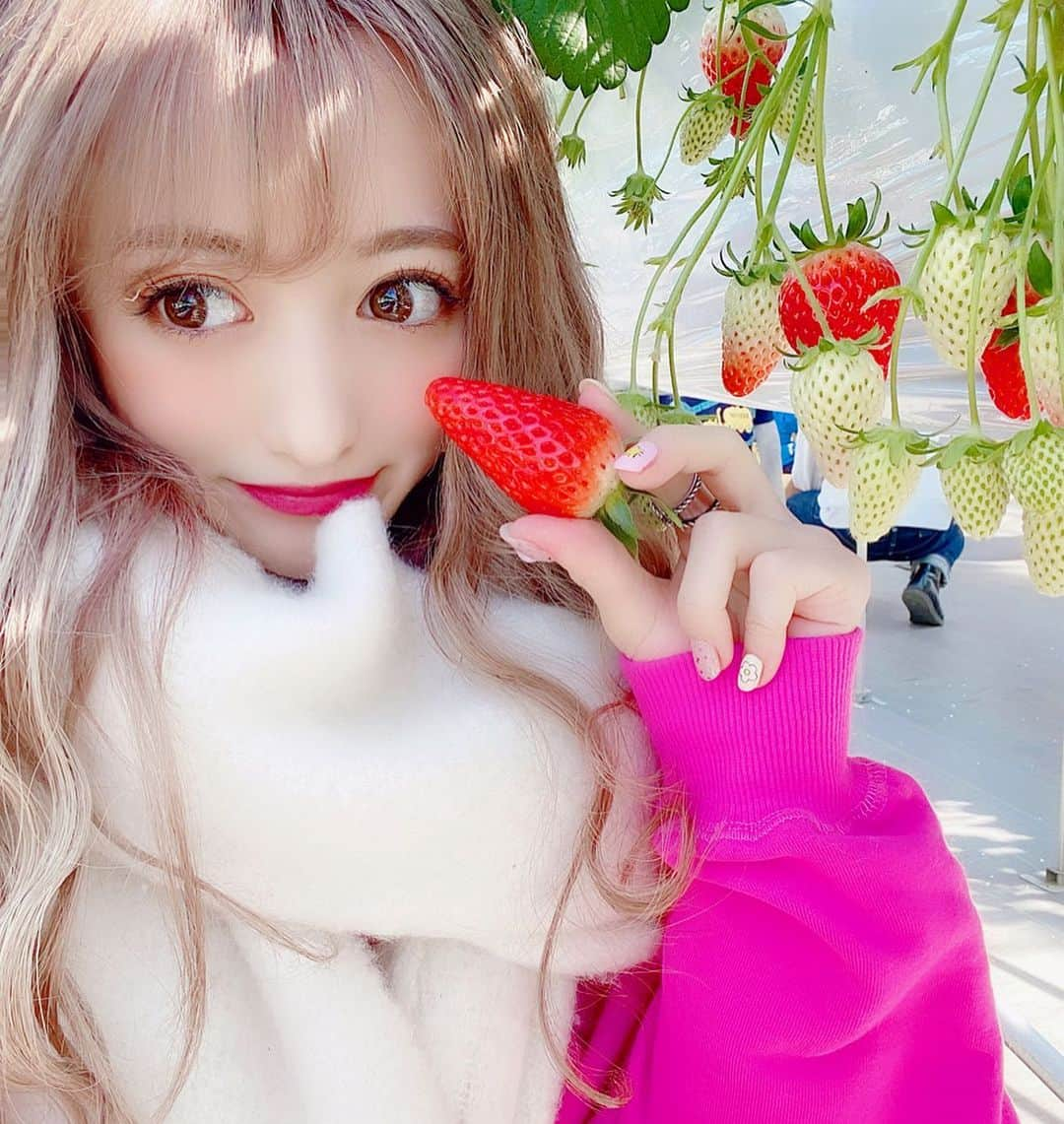 ひなたろす（佐原ひなた）さんのインスタグラム写真 - (ひなたろす（佐原ひなた）Instagram)「#イチゴ狩り 🍓﻿ ﻿ #川越小江戸 に行ったんだけど﻿ 綺麗すぎるし何より広すぎて﻿ イチゴが巨大だったし美味しすぎたよ🐻❤️﻿ ﻿ まだまだやってるみたいだから﻿ 予約必須でいくべき！イチゴ大好きすぎて﻿ ずーっと食べれる😭💘﻿ ﻿ ３０分制限なのがあっという間すぎた！﻿ ﻿ #いちごがり #いちご　#川越 ﻿#followｍe #likeforlikes  #dior #表参道カフェ #原宿カフェ #表参道cafe #カフェ巡り #cafe #cafestagram #カフェ好きな人と繋がりたい #神宮前カフェ #渋谷カフェ #soul #韓国カフェ　#ピンクカフェ　#カフェ　　#銀座カフェ　#銀座」2月12日 20時27分 - saharahinata