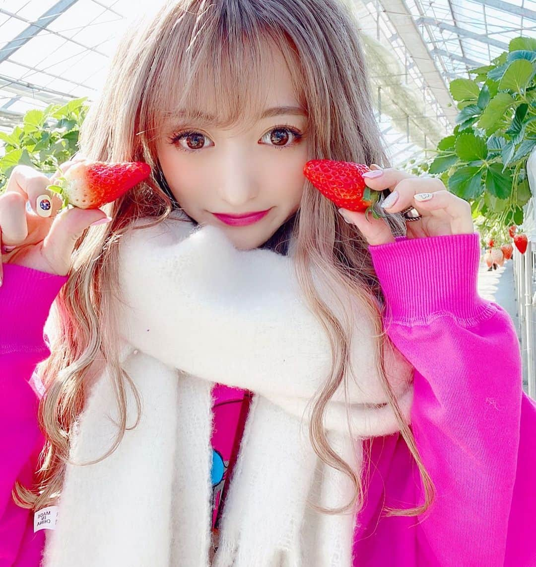 ひなたろす（佐原ひなた）さんのインスタグラム写真 - (ひなたろす（佐原ひなた）Instagram)「#イチゴ狩り 🍓﻿ ﻿ #川越小江戸 に行ったんだけど﻿ 綺麗すぎるし何より広すぎて﻿ イチゴが巨大だったし美味しすぎたよ🐻❤️﻿ ﻿ まだまだやってるみたいだから﻿ 予約必須でいくべき！イチゴ大好きすぎて﻿ ずーっと食べれる😭💘﻿ ﻿ ３０分制限なのがあっという間すぎた！﻿ ﻿ #いちごがり #いちご　#川越 ﻿#followｍe #likeforlikes  #dior #表参道カフェ #原宿カフェ #表参道cafe #カフェ巡り #cafe #cafestagram #カフェ好きな人と繋がりたい #神宮前カフェ #渋谷カフェ #soul #韓国カフェ　#ピンクカフェ　#カフェ　　#銀座カフェ　#銀座」2月12日 20時27分 - saharahinata