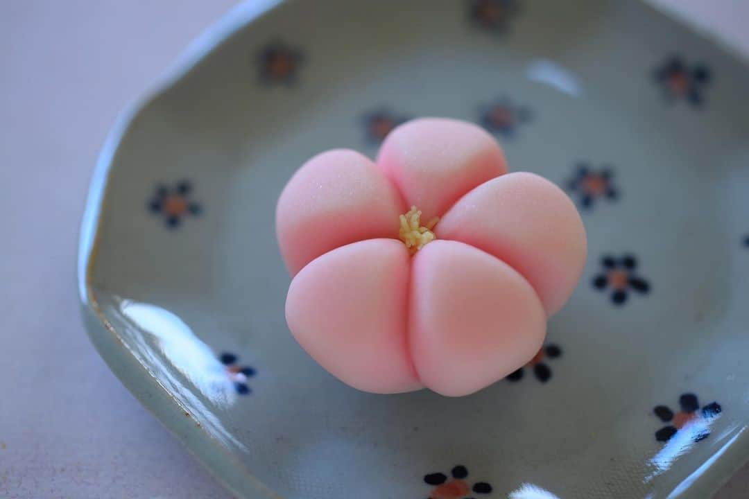 Toru Tsuchieのグルメインスタ