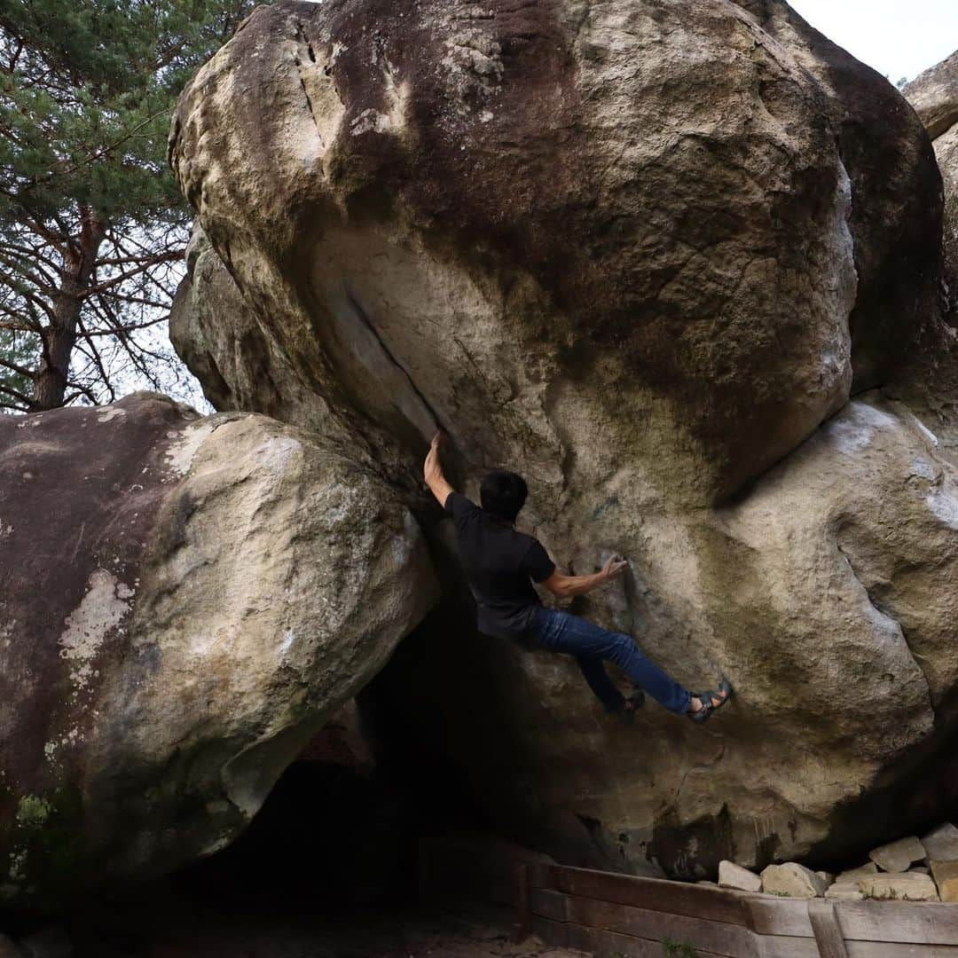 濱田健介のインスタグラム：「I’m in Fontainebleau now! Today, I climbed some nice classic at Cuvier.  Photo and movie are Big boss 7C. なんとなんと、ただ今フォンテーヌブローに来てます。2009年のスイス帰りに2時間ほど立ち寄ったことがあるけど、実質ほぼ初めて。 今日は初日なので、Cuvierというエリアでクラシック巡り。6台から侮れない課題がたくさんで苦戦しまくったけど、楽しかった。ちなみに Cortomaltese 6C+ はスローパーが弾いて持てず敗退。。 BJCセットの名残りで指皮もいまいちだし、疲れも残っているけど、少しずつ調子上がるといいなー。 写真と動画は Big boss 7C。 @rockmasterhq  @unparallelup  @organicclimbing  @nogradjustfeeling  @camp1889」