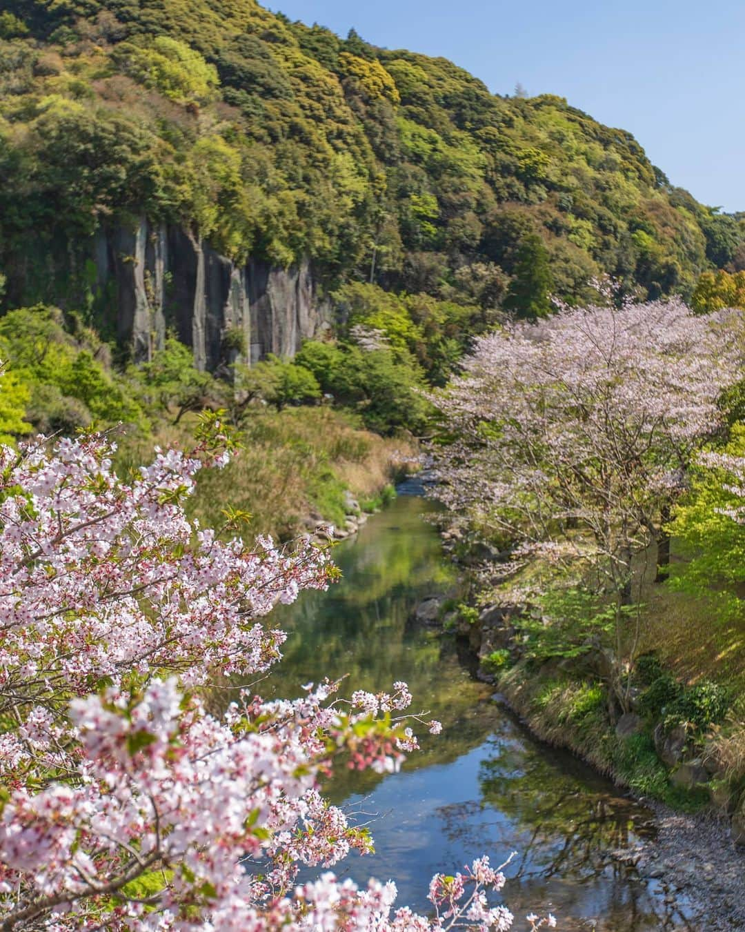 鹿児島よかもん再発見のインスタグラム