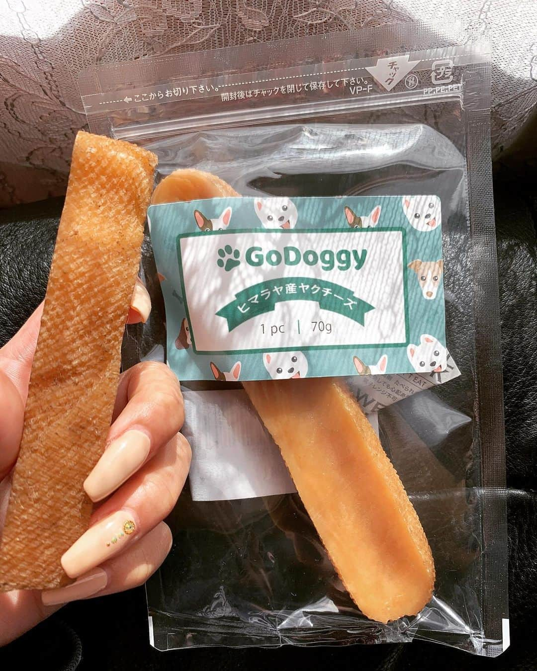 えがさりさんのインスタグラム写真 - (えがさりInstagram)「@godoggy.jp 🐕‍🦺💓」2月13日 2時14分 - arielluv1