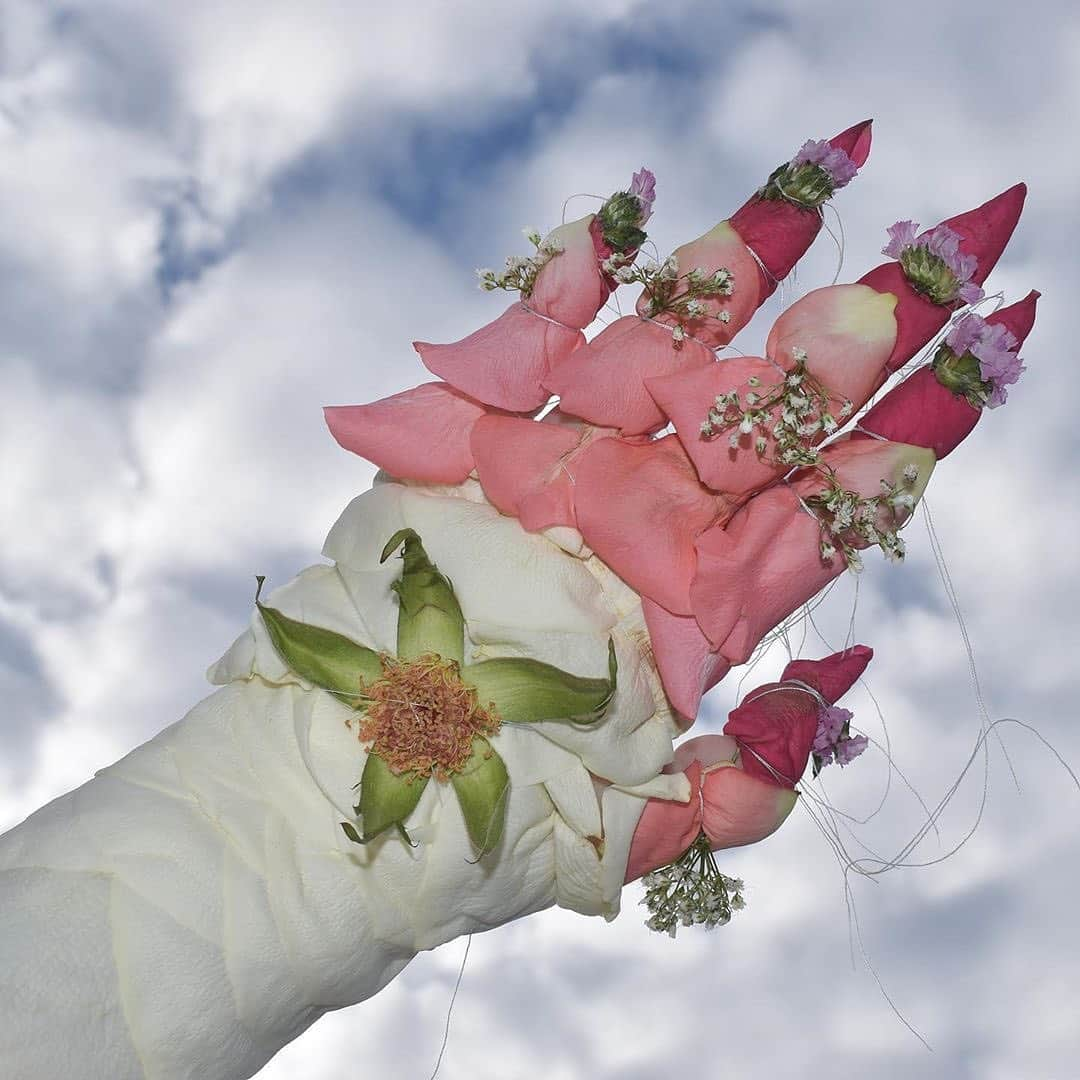 Instagramさんのインスタグラム写真 - (InstagramInstagram)「Colette Stubbings’ (@hallofstars) “petal armor” started as a way to cope with anxiety. “I began wrapping my fingers in petals I collected from my dad’s garden. The process calmed me and made me curious about what other functional forms and designs these natural materials could mimic,” she says. 🌸🌱🌺 ⁣ ⁣ “I only use the plant parts themselves and then a spool of thread, binding layers to my hand by wrapping them as tightly as I can.”⁣ ⁣ Photo by @hallofstars」2月13日 2時11分 - instagram