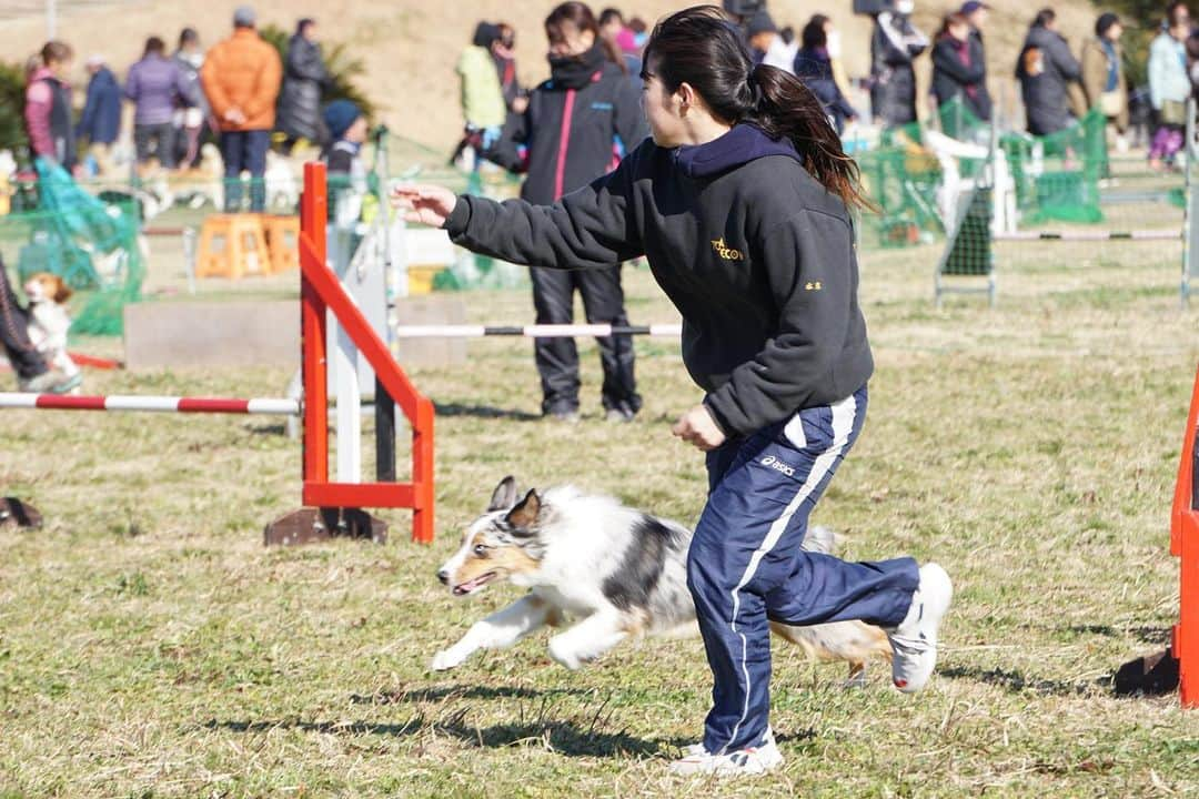 【公式】東京コミュニケーションアート専門学校ECOさんのインスタグラム写真 - (【公式】東京コミュニケーションアート専門学校ECOInstagram)「2月9日に開催されたOPDES競技会in袖ヶ浦🐕本校の在校生も多数参加❗️見事ビギナークラスで1.2位入賞です✨ 1位詩ちゃん　2位吹雪ちゃん　強風の中、学生と呼吸を合わせて頑張ってくれました😁good job🏅 #tcaeco #動物 #動物専門学校 #ペット専門学校 #ドッグトレーナー #オプデス　#OPDES #入賞 #進路」2月13日 16時04分 - tca_eco