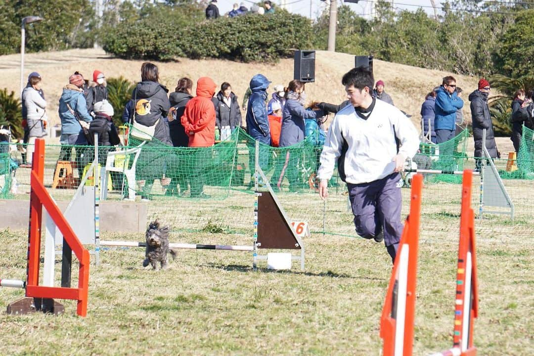 【公式】東京コミュニケーションアート専門学校ECOさんのインスタグラム写真 - (【公式】東京コミュニケーションアート専門学校ECOInstagram)「2月9日に開催されたOPDES競技会in袖ヶ浦🐕本校の在校生も多数参加❗️見事ビギナークラスで1.2位入賞です✨ 1位詩ちゃん　2位吹雪ちゃん　強風の中、学生と呼吸を合わせて頑張ってくれました😁good job🏅 #tcaeco #動物 #動物専門学校 #ペット専門学校 #ドッグトレーナー #オプデス　#OPDES #入賞 #進路」2月13日 16時04分 - tca_eco