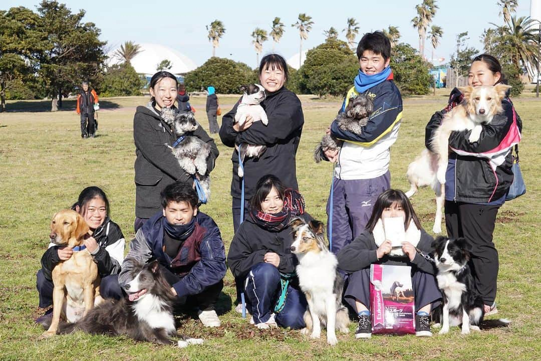 【公式】東京コミュニケーションアート専門学校ECOさんのインスタグラム写真 - (【公式】東京コミュニケーションアート専門学校ECOInstagram)「2月9日に開催されたOPDES競技会in袖ヶ浦🐕本校の在校生も多数参加❗️見事ビギナークラスで1.2位入賞です✨ 1位詩ちゃん　2位吹雪ちゃん　強風の中、学生と呼吸を合わせて頑張ってくれました😁good job🏅 #tcaeco #動物 #動物専門学校 #ペット専門学校 #ドッグトレーナー #オプデス　#OPDES #入賞 #進路」2月13日 16時04分 - tca_eco