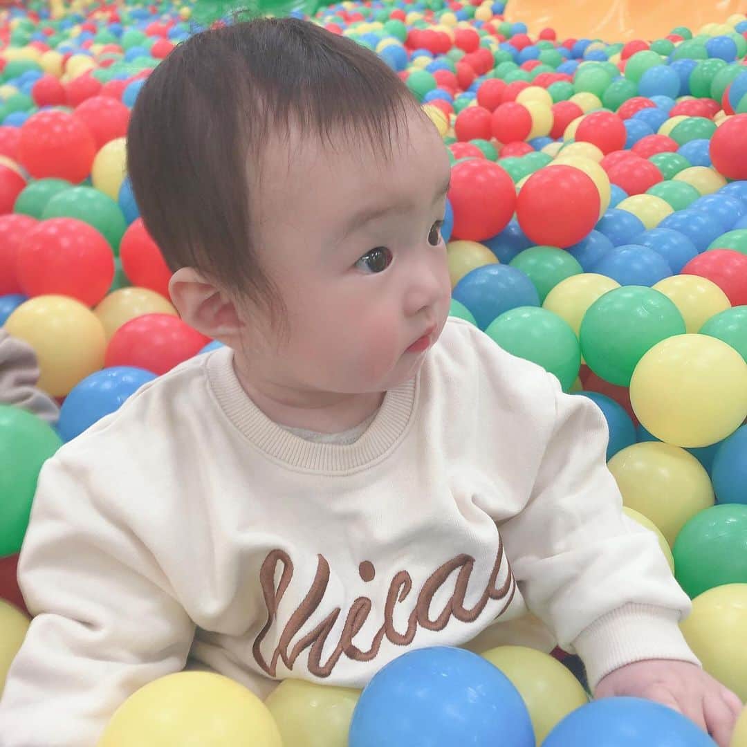 畠中清羅 のグルメインスタ