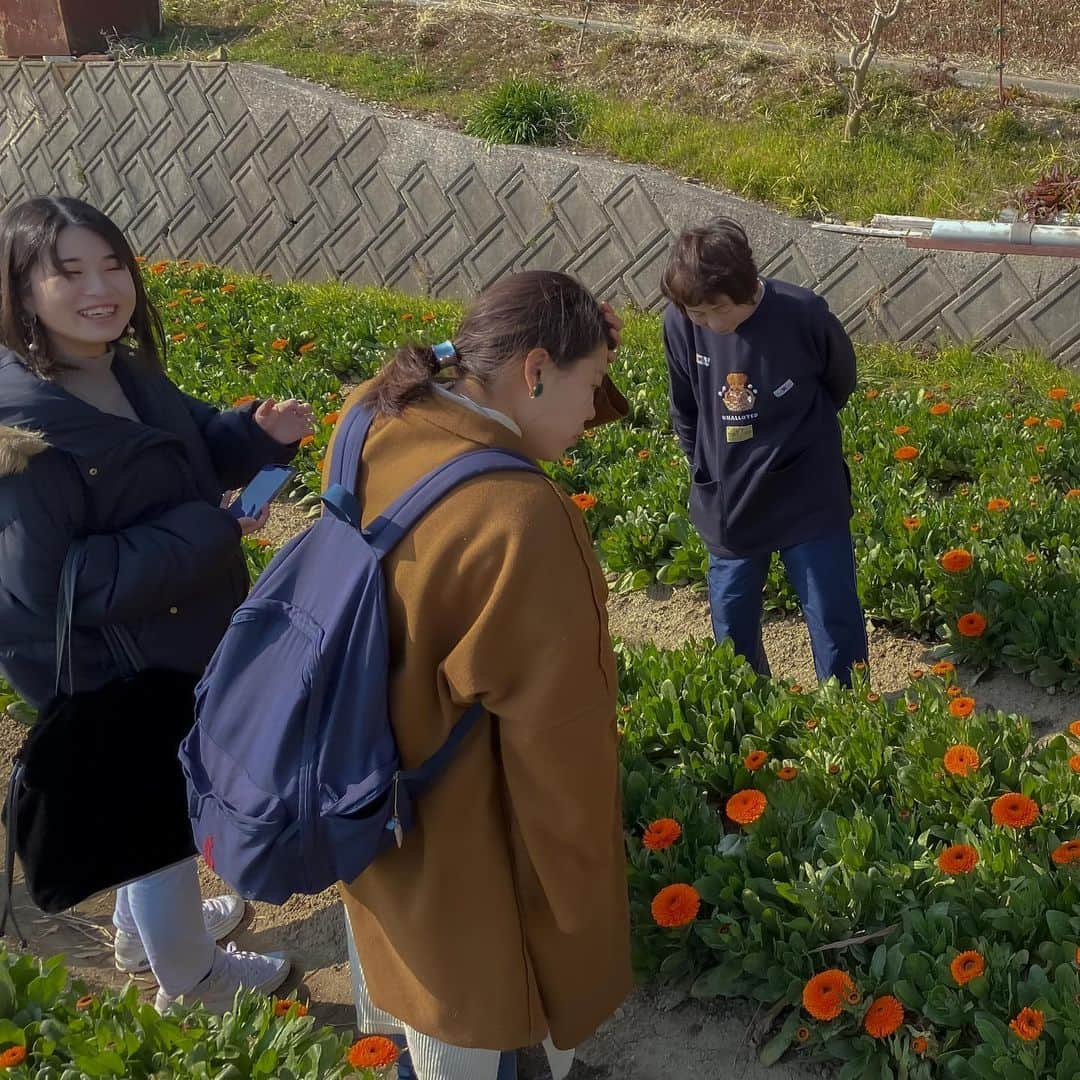 神戸学院大学さんのインスタグラム写真 - (神戸学院大学Instagram)「森下ゼミ生が「淡路市連携大学まちづくり活動助成事業」の一環として、淡路市の廣田農園の食用カレンデュラを広める活動を行っています。 #神戸学院大学#グローバルコミュニケーション学部#神戸学院#神戸#兵庫県#淡路島#淡路市#手作り#ハーブガーデン#ハーブ#カレンデュラ#まちづくり#地域連携#大学生活#キャンパスライフ#学生生活#廣田農園#kobegakuinuniversity#facultyofglobalcommunication#kobegakuin#hyogo#awajiisland#awaji#herb#herbtea#calendula」2月13日 9時48分 - kobegakuin_university_koho