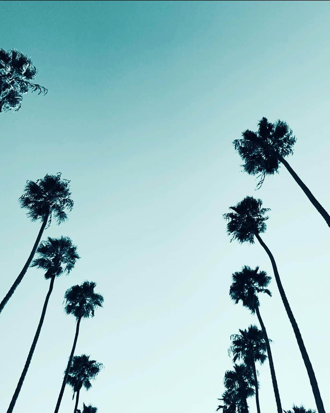 MARISのインスタグラム：「LA here I come✈︎✈︎✈︎✈︎🇺🇸 I do love you Los Angeles❤︎❤︎❤︎ #LA #palmtrees #losangeles #california」