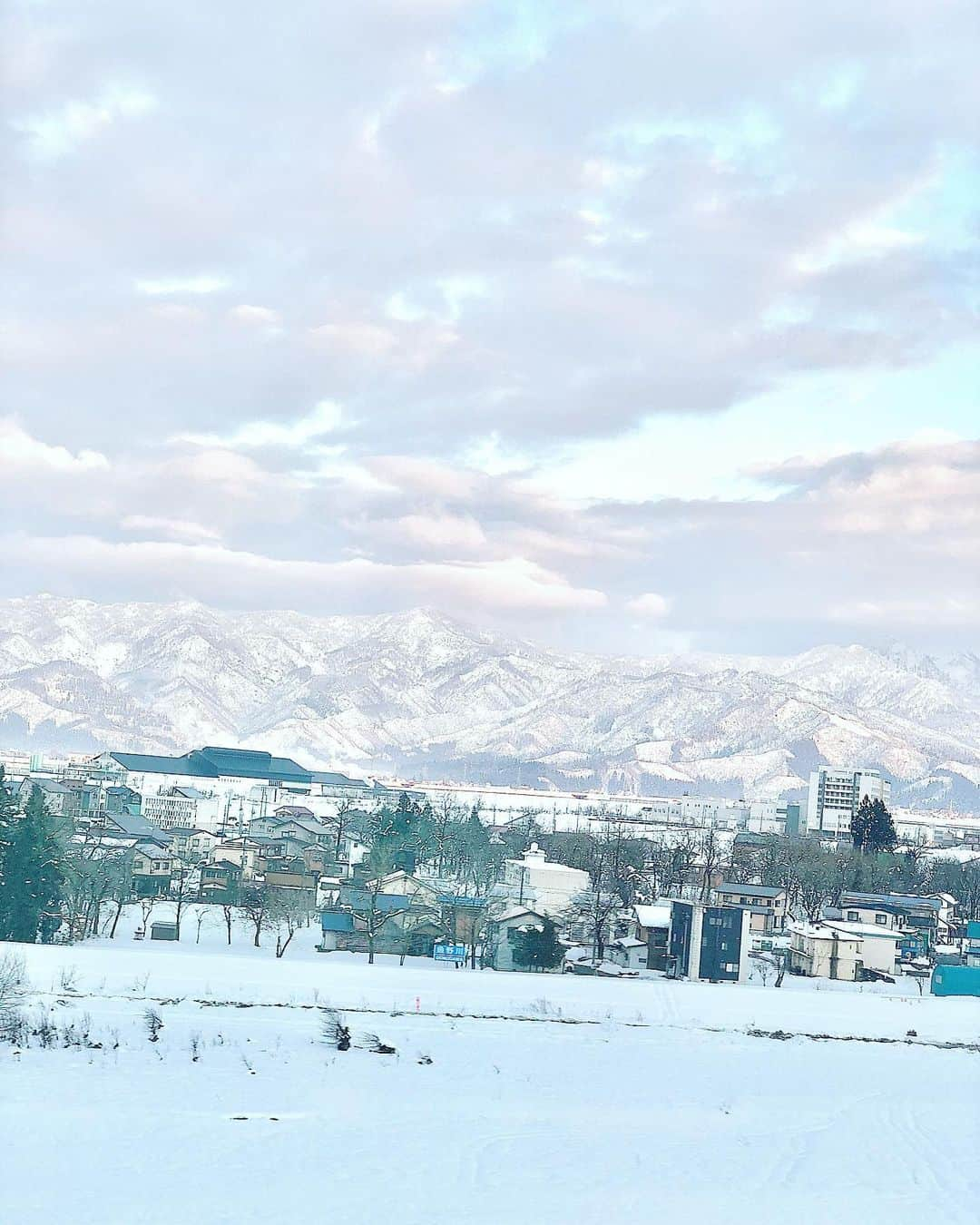 小泉深雪さんのインスタグラム写真 - (小泉深雪Instagram)「故郷・新潟へは母の十七回忌を前に地元にいる妹と機会を合わせ、お墓参りに出掛けておりました。御供えする花を、春を感じる雰囲気でお願いしたところ、快く一緒に相談しながら素敵にアレンジして下さったお花屋さん。有難うございました。 大好きで大切なふるさと。立派な寒ブリも美味しかった。 #新潟#中央食堂#寒ブリ刺身定食#寒ブリ三昧定食#完売でした#ぐりーんはうすサム万代#桃の花#菜の花」2月13日 17時08分 - miyuki_kizm