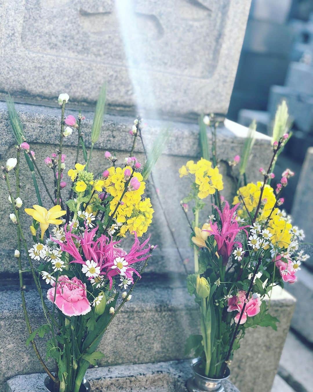 小泉深雪さんのインスタグラム写真 - (小泉深雪Instagram)「故郷・新潟へは母の十七回忌を前に地元にいる妹と機会を合わせ、お墓参りに出掛けておりました。御供えする花を、春を感じる雰囲気でお願いしたところ、快く一緒に相談しながら素敵にアレンジして下さったお花屋さん。有難うございました。 大好きで大切なふるさと。立派な寒ブリも美味しかった。 #新潟#中央食堂#寒ブリ刺身定食#寒ブリ三昧定食#完売でした#ぐりーんはうすサム万代#桃の花#菜の花」2月13日 17時08分 - miyuki_kizm