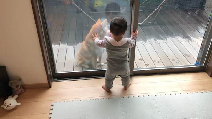 舞名里音のインスタグラム