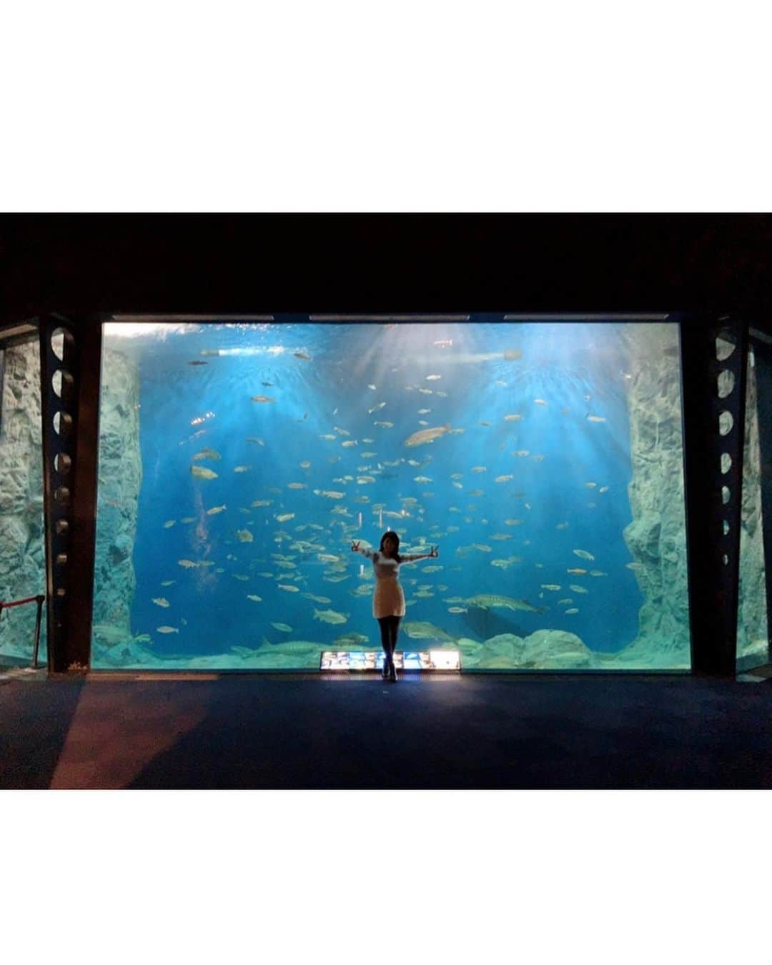 神谷麻美さんのインスタグラム写真 - (神谷麻美Instagram)「#雪景色 って素敵💖❄💖⛄💖 #淡水魚 #水族館 🐟も可愛いかった❤ #大群 𓆛𓆜𓆝𓆞𓆟❤✨ 🐟🐟🐟🐟🐟🐟💕💖💕」2月13日 13時42分 - asamice428