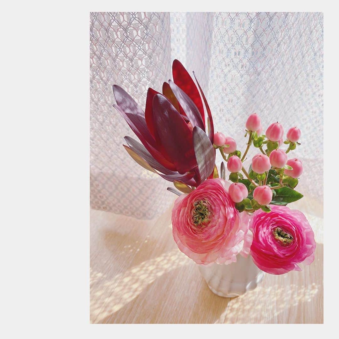 小原好美さんのインスタグラム写真 - (小原好美Instagram)「バレンタイン近いから チョコレート色のリューカデンドロンを選びました。 あとはピンクのナランキュラス。  冬も好きだけど早くあったかくならないかなぁ(●´人｀●) #花畑いきたい #なんか美味しそうw #コメントありがとうございます」2月13日 14時22分 - konomi_kohara0628