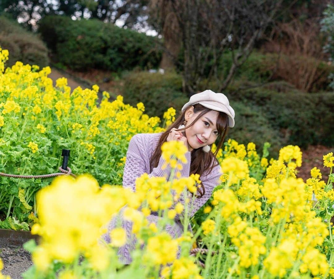 安藤まいさんのインスタグラム写真 - (安藤まいInstagram)「もう菜の花が咲いてた🤭❤️ 今日はあったかいね☺️ #撮影会 #福岡撮影会 #福岡市動植物園 #植物園 #福岡 #福岡モデル #ポートレート #ポートレート福岡 #モデル #レースクイーン #レースクイーン撮影会 #菜の花畑 #菜の花 #スリーライズ #撮影会 #インスタグラビア #グラビア #撮影 #racequeen #RQ #japanesegirl #japan #instagood #instagram」2月13日 15時15分 - mai_ando0407