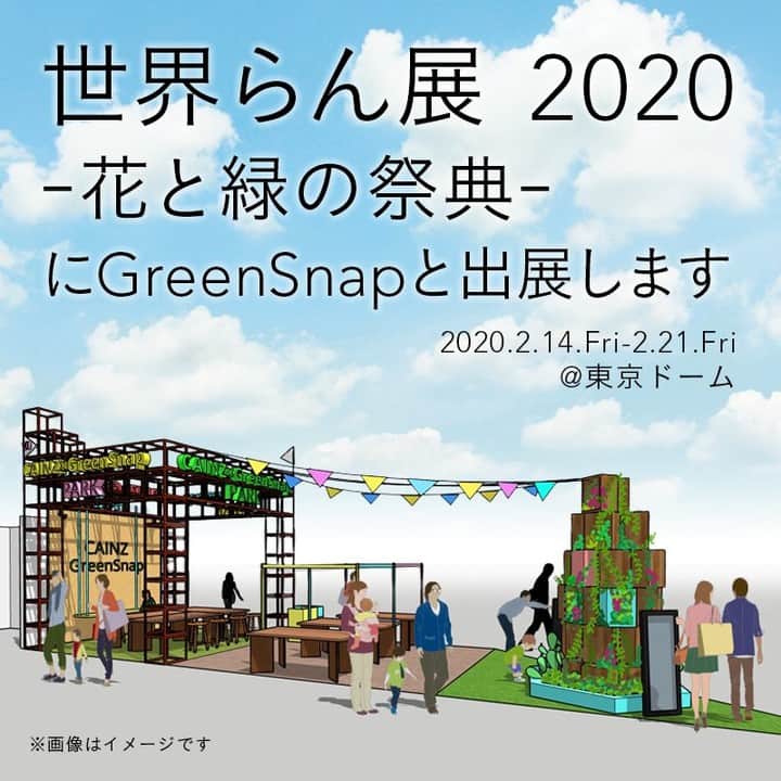 カインズさんのインスタグラム写真 - (カインズInstagram)「「世界らん展2020-花と緑の祭典-」がいよいよ明日より東京ドームにて開催！ 会場では、GreenSnapとコラボした見応えバッチリのブースやDIYワークショップを開催します。 . 【ワークショップ一例】 ●ミニキャンバストートバッグのステッチ風リメイク ●タイルコ－スター 日時：2月14日(金)～16日(日)、19日(水)、20日(木) 19：00～ 参加費：600円(トレイ・カップ・小物除く) . ●アロマリウム 日時：2月14日(金)～16日(日)、19日(水)、20日(木) 19：00～ 参加費：1,500円(1本) . ●タペストリー 日時：2月16日(日) 10：30～ 参加費：1,200円 . ●フラワースタンド2段 日時：2月17日(月) 14：00～、20日(木) 14：00～ 参加費：1,200円(植物除く) . ●フラワーカート 日時：2月18日(火) 14：00～、21日(金) 14：00～ 参加費：1,500円(植物除く) . ●モルモルを使ってデコボコスクエア鉢 日時：2月19日(水) 10：30～ 参加費：1,200円(植物含む) . ▼ワークショップ応募はこちら https://questant.jp/q/TJY6S3L9 . ＼世界らん展限定プレゼントキャンペーン／ ------------------------------------------------- 期間中、会場へ足をお運びいただき、「GreenSnapアプリ」のインストールと、「カインズアプリ」のインストール＆会員登録で ・カインズポイント 300ポイント ・オリジナルコラボトートバッグ をもれなくプレゼント！ . ※カインズアプリ会員登録後、アプリ起動時にバーコード画面が表示される状態を、カインズブース係員までご提示ください。 ※GreenSnapにて実施の「世界らん展開催直前 インストールキャンペーン」で当選された方は対象外となります。 ※ポイント付与は3月中旬頃、トートバッグはお1人様1回限り、無くなり次第終了となります。 詳しくは、カインズブース係員までお問い合わせください。 . 皆さまのご来場をお待ちしております。お楽しみに♪ . ▼世界らん展2020　詳細はこちら https://greensnap.jp/page/45 . #世界らん展 #世界らん展2020 #花と緑の祭典 #東京ドーム #らん #蘭 #キャンペーン #アプリインストール #greensnap #コラボ #ワークショップ #exhibition #orchid #tokyodome #campaign #workshop #cainz #cainzhome #カインズ #カインズホーム #くらしにららら」2月13日 15時27分 - cainz_official
