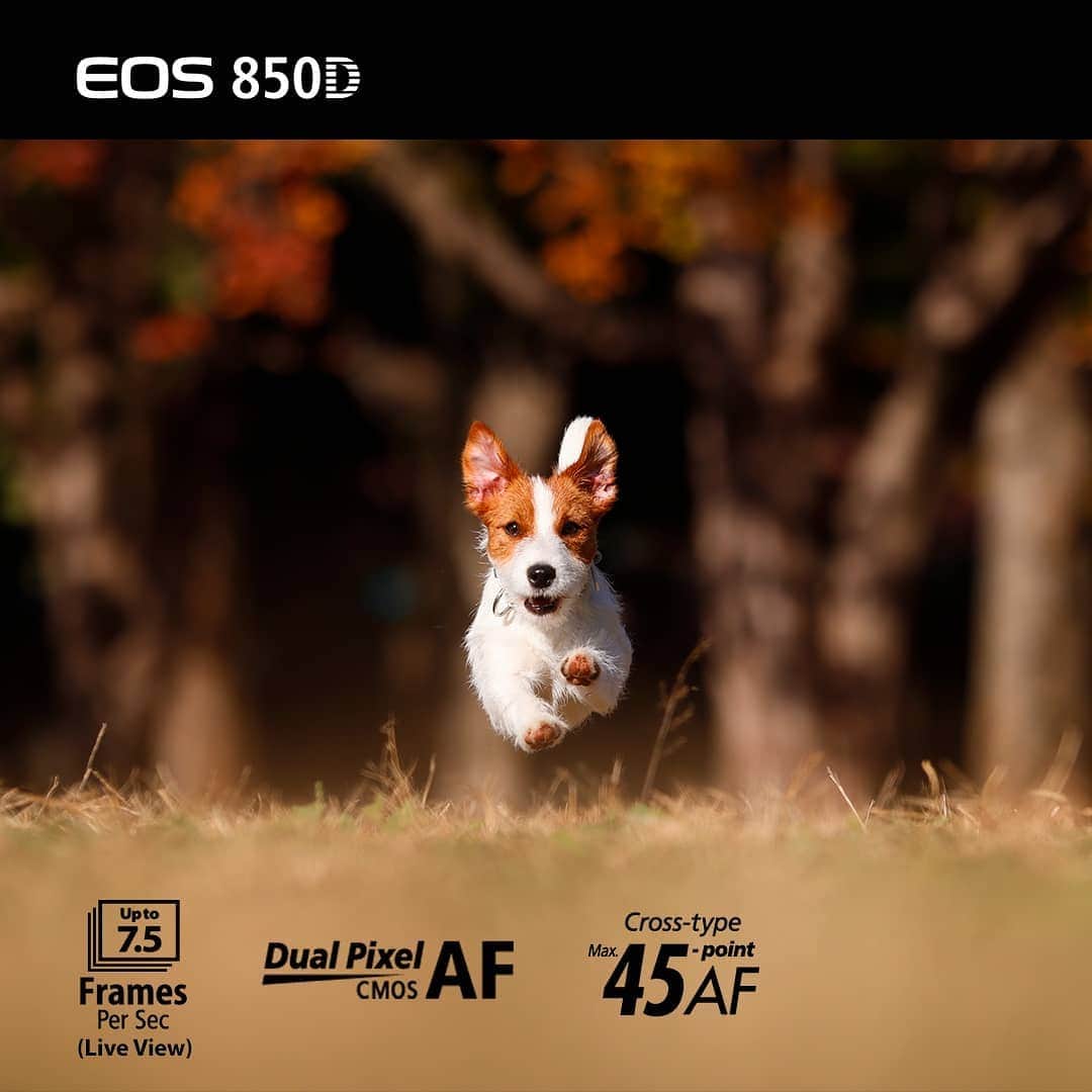 Canon Asiaのインスタグラム：「Easy to shoot, easy to grasp.  The new #Canon EOS 850D DSLR not only lets you shoot stunning 4K movies and sharp, high quality images, it also has a touchscreen Vari-angle LCD and useful guide features for learners serious on picking up photography. 📷🎓 Start your photography journey with #EOS850D Link in bio!」