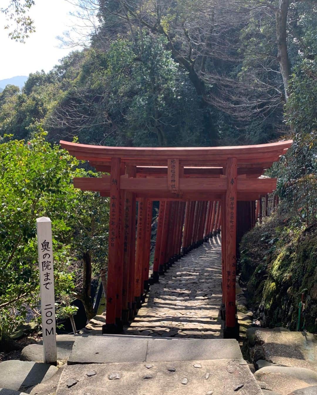 ちとせよしのさんのインスタグラム写真 - (ちとせよしのInstagram)「祐徳稲荷神社に行ってきました︎︎︎︎⛩ 建物の色遣いが鮮やかでとっても綺麗だったなぁ✨ 長い石段の上にある奥の院まで登ってきたよん！ 空気が澄んでて上からの景色も素敵でした🙌🏻 登るの大変なので、行かれる方はスニーカーをおすすめします！👟笑 そして今年2回目のおみくじも大吉で超はっぴー！！(〃´-`〃)♡ 桜の季節がさらに綺麗らしいのでまた春に行きたい〜🌸 ・ ・ ・ #selfie #saga #kashima  #セルフィー #佐賀 #佐賀県 #鹿島市 #祐徳稲荷神社 #神社」2月13日 19時36分 - chitose_yoshino