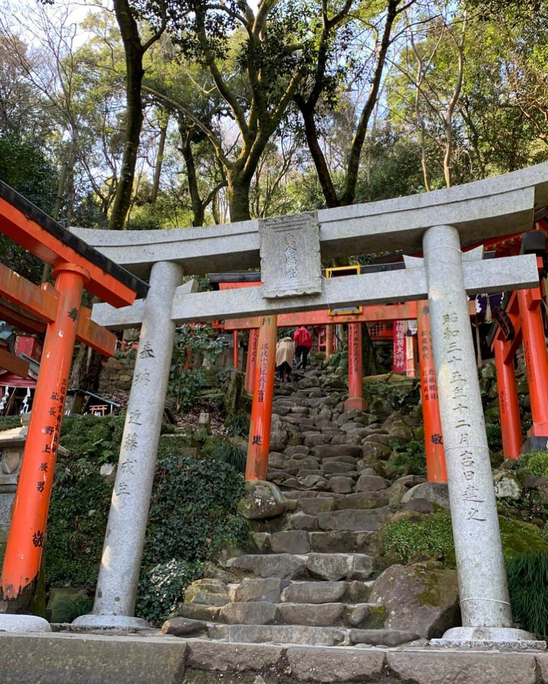 ちとせよしのさんのインスタグラム写真 - (ちとせよしのInstagram)「祐徳稲荷神社に行ってきました︎︎︎︎⛩ 建物の色遣いが鮮やかでとっても綺麗だったなぁ✨ 長い石段の上にある奥の院まで登ってきたよん！ 空気が澄んでて上からの景色も素敵でした🙌🏻 登るの大変なので、行かれる方はスニーカーをおすすめします！👟笑 そして今年2回目のおみくじも大吉で超はっぴー！！(〃´-`〃)♡ 桜の季節がさらに綺麗らしいのでまた春に行きたい〜🌸 ・ ・ ・ #selfie #saga #kashima  #セルフィー #佐賀 #佐賀県 #鹿島市 #祐徳稲荷神社 #神社」2月13日 19時36分 - chitose_yoshino