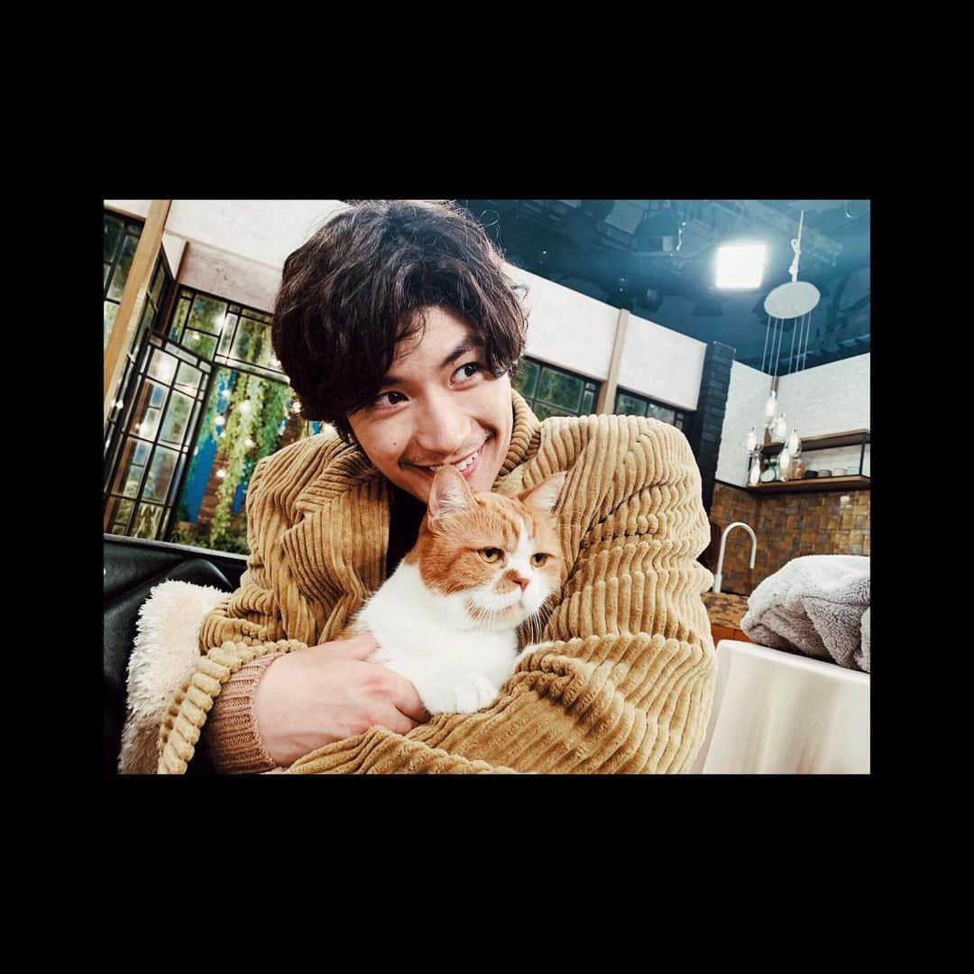 三浦春馬さんのインスタグラム写真 - (三浦春馬Instagram)「前々から共演したかった、猫の #春馬 くん！ 今夜、待望の共演✨🐈 最高の時間でした。また会いたい。 今日のNHK 【世界はほしいモノにあふれてる】は冬のほっこりスペシャル！　様々なほっこりをたっぷりお届けする1時間。 今夜22:30~です！是非ご覧ください🐎  #せかほし #ふてにゃん #ダブル春馬」2月13日 19時48分 - haruma_miura_info