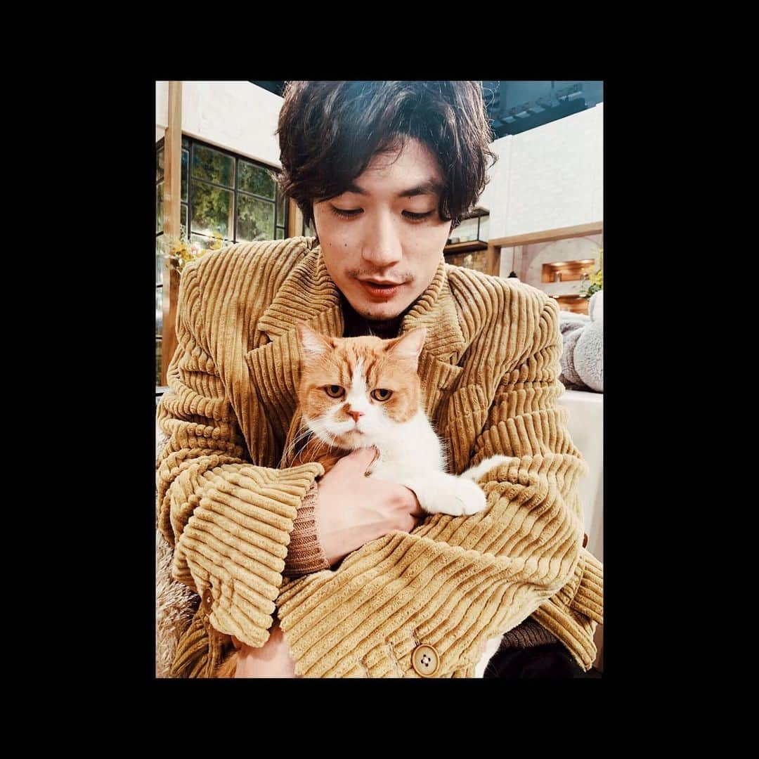 三浦春馬さんのインスタグラム写真 - (三浦春馬Instagram)「前々から共演したかった、猫の #春馬 くん！ 今夜、待望の共演✨🐈 最高の時間でした。また会いたい。 今日のNHK 【世界はほしいモノにあふれてる】は冬のほっこりスペシャル！　様々なほっこりをたっぷりお届けする1時間。 今夜22:30~です！是非ご覧ください🐎  #せかほし #ふてにゃん #ダブル春馬」2月13日 19時48分 - haruma_miura_info