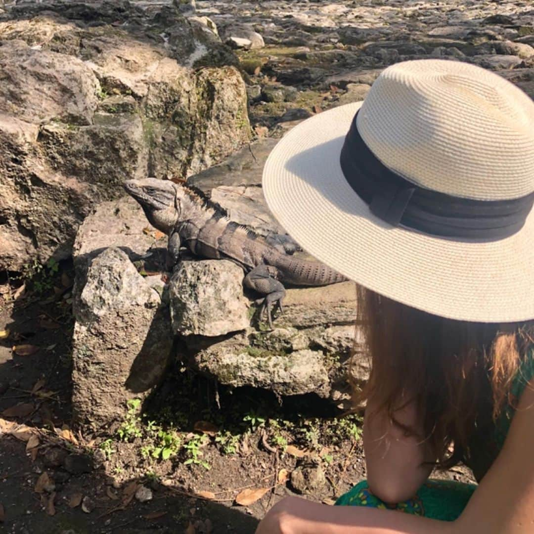 山田優依さんのインスタグラム写真 - (山田優依Instagram)「San Gervasio Mayan Ruins🌿 . 島内最大の遺跡、サン・ヘルバシオ遺跡へ . 自然のイグアナとかフェレット(みたいなの)とか 遺跡より動物が気になって仕方なかった🤩 . グリーンが沢山あって、遺跡は想像より小さくて 大ーきな公園か動物園に行った気分☺️ . #Mexico #cozumel #SanGervasio #CaribbeanSea #Cruise #CaribbeanCruise #CarnivalConquest」2月13日 20時12分 - yui_gourmetwalker