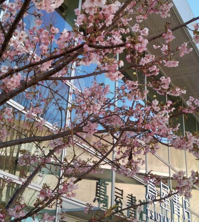 柏の葉 T-SITEのグルメインスタ