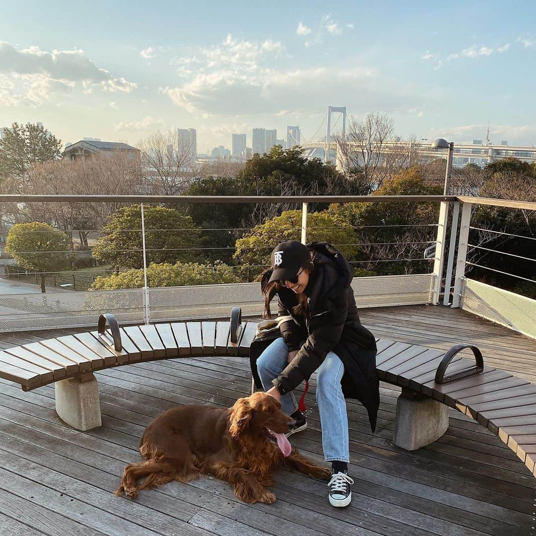 鈴木詩織さんのインスタグラム写真 - (鈴木詩織Instagram)「今日こんな服装したら暑くて大変でしたね😂 . 写真は先日のリリ散歩🐶☀️ お台場が大好きなリリーなのでした🍦 . . . . .  #irishsetter#アイリッシュセッター#アイリッシュセター#犬のいる暮らし#ポートレート犬#大型犬のいる生活#マホガニーレッド#フィールドタイプ#大型犬好き#irishsetterdog#irishsetterdaily」2月13日 20時33分 - shiorin0802suzuki