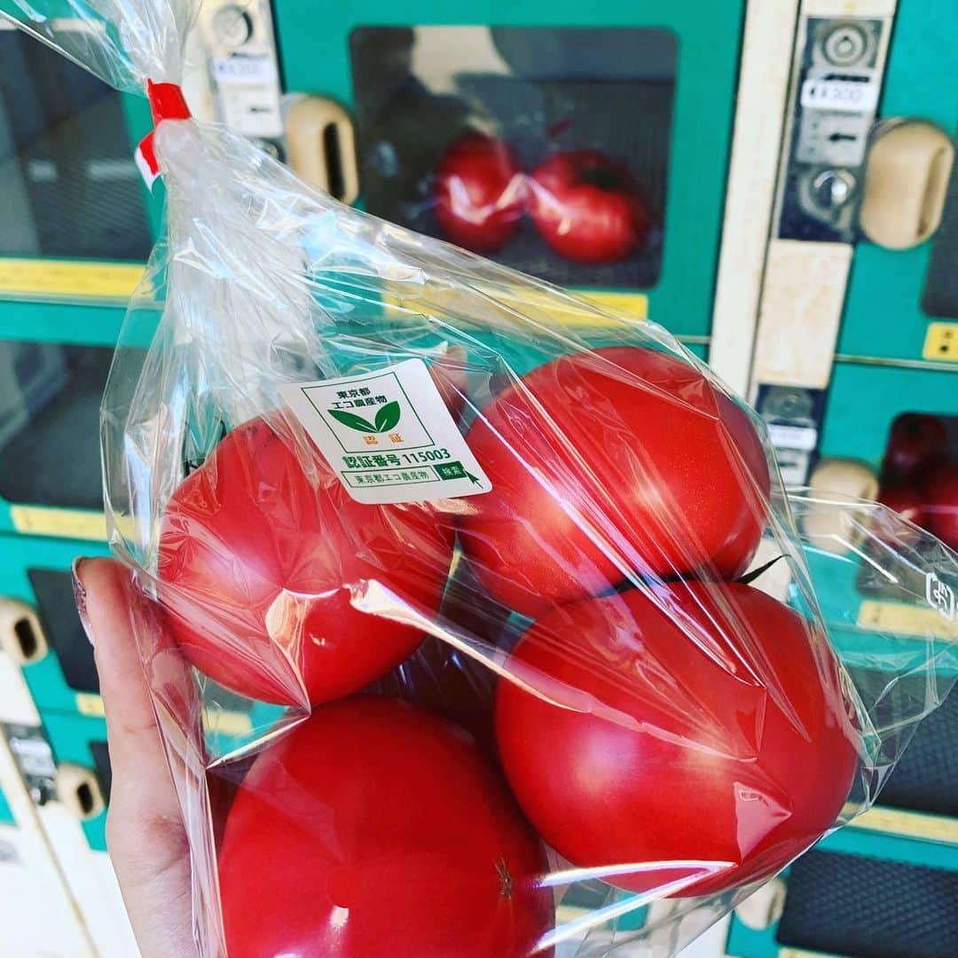 氷浦紫さんのインスタグラム写真 - (氷浦紫Instagram)「散歩帰りにやっと買えたフルーツトマト🍅  いつも売り切れてたから嬉しい。そしてすごく甘くて美味しかった。  #東京産#東京都エコ農産物 #トマト#フルーツトマト#トマト大好き#散歩帰り#東京23区」2月13日 20時56分 - yukalihiula